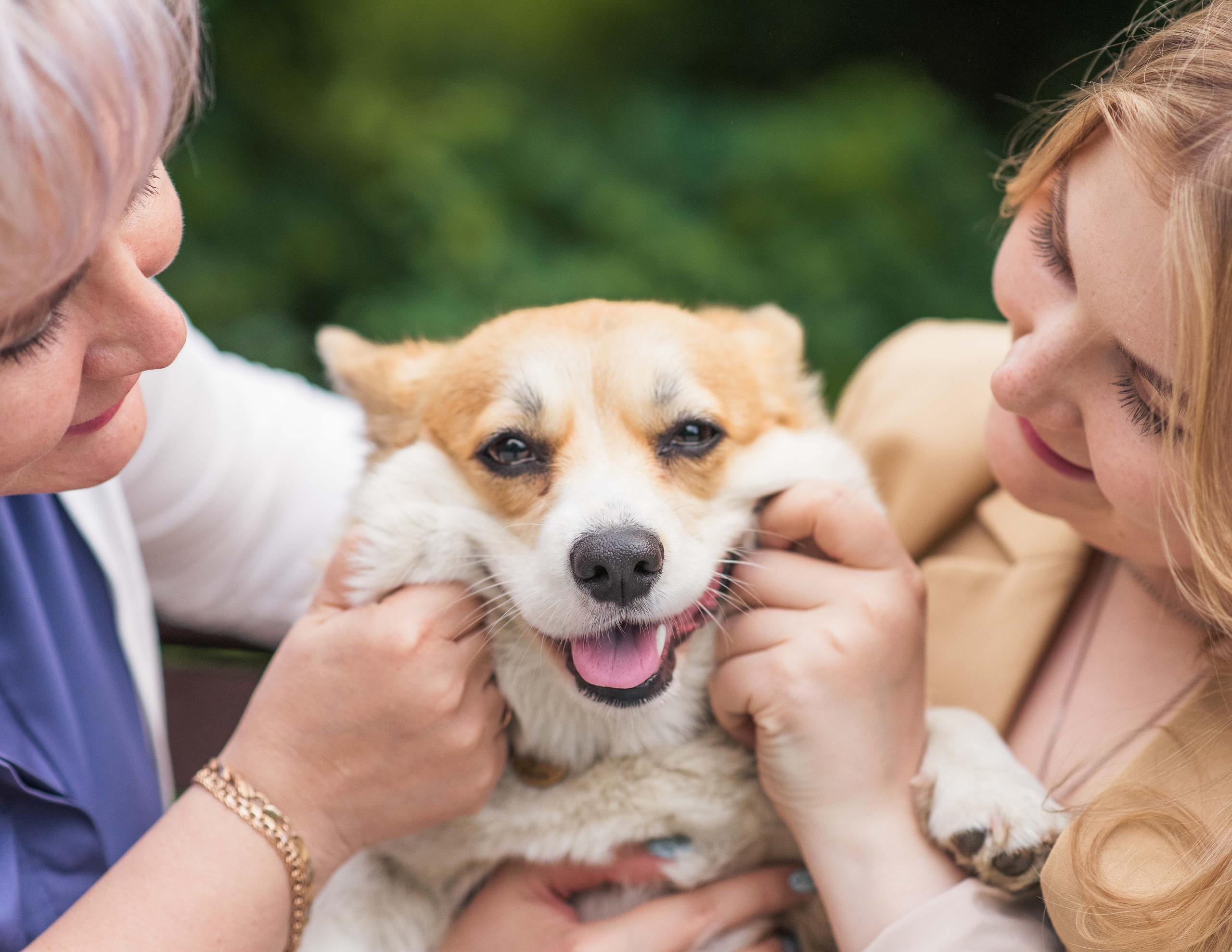 Юлия и Шаня, Покровское-Стрешнево. Свадебный фотограф в Москве Анна Полушина