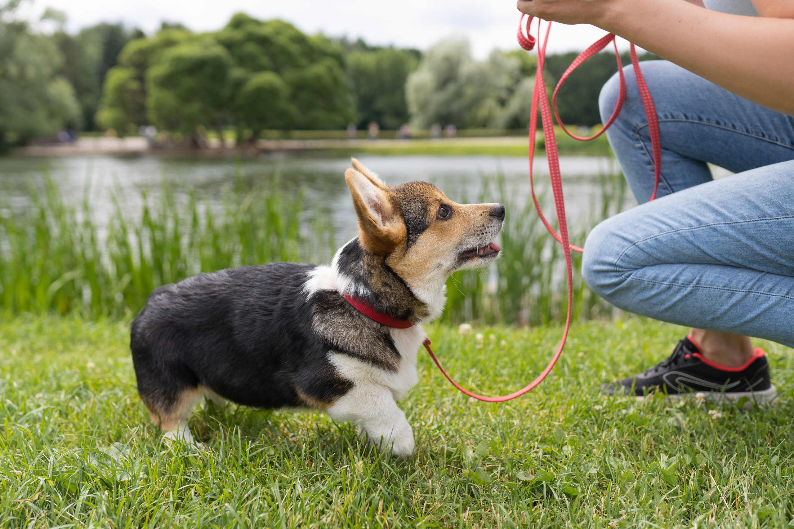 Каспер и Полина, Ботанический сад. Свадебный фотограф в Москве Анна Полушина