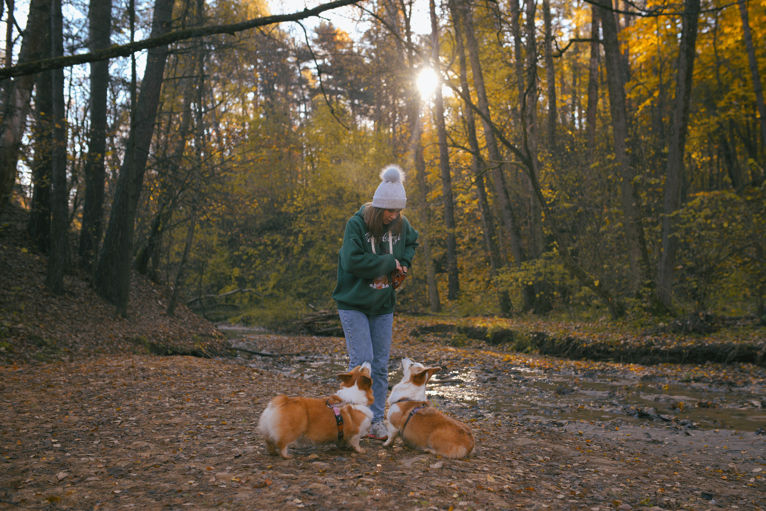 Фотосессия с питомцем в Москве. Свадебный фотограф в Москве Анна Полушина
