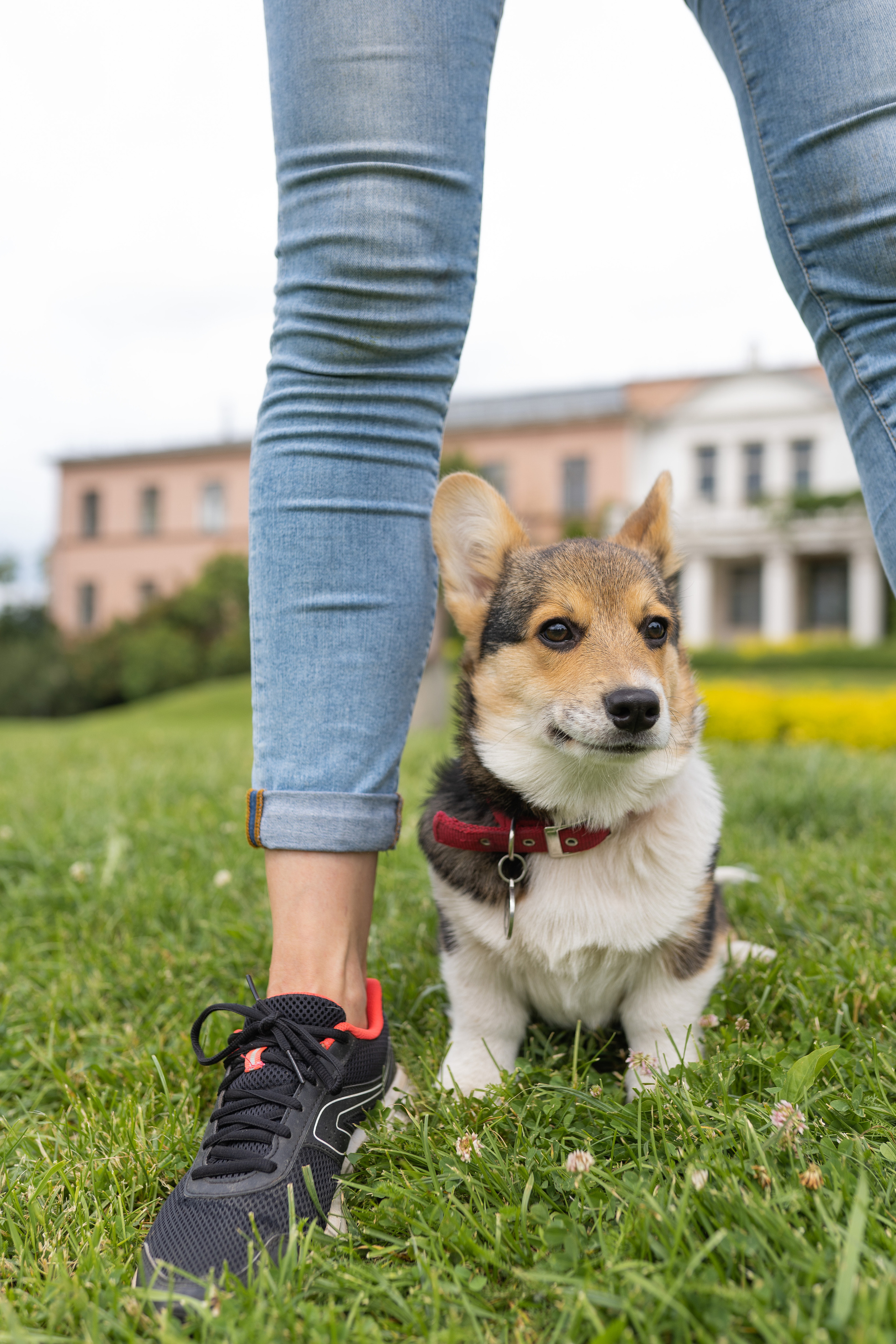 Каспер и Полина, Ботанический сад. Свадебный фотограф в Москве Анна Полушина