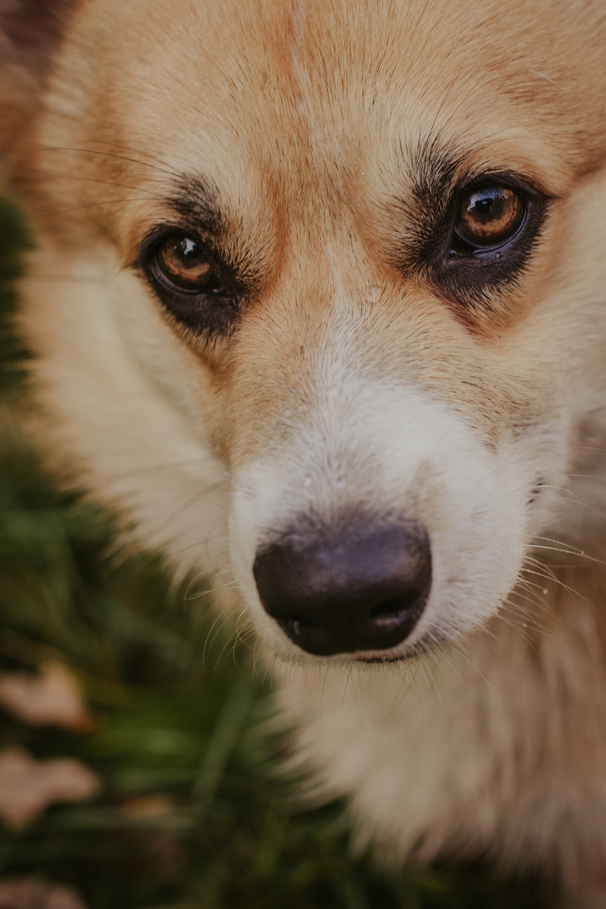 Катя и Оливер, Сокольники. Свадебный фотограф в Москве Анна Полушина