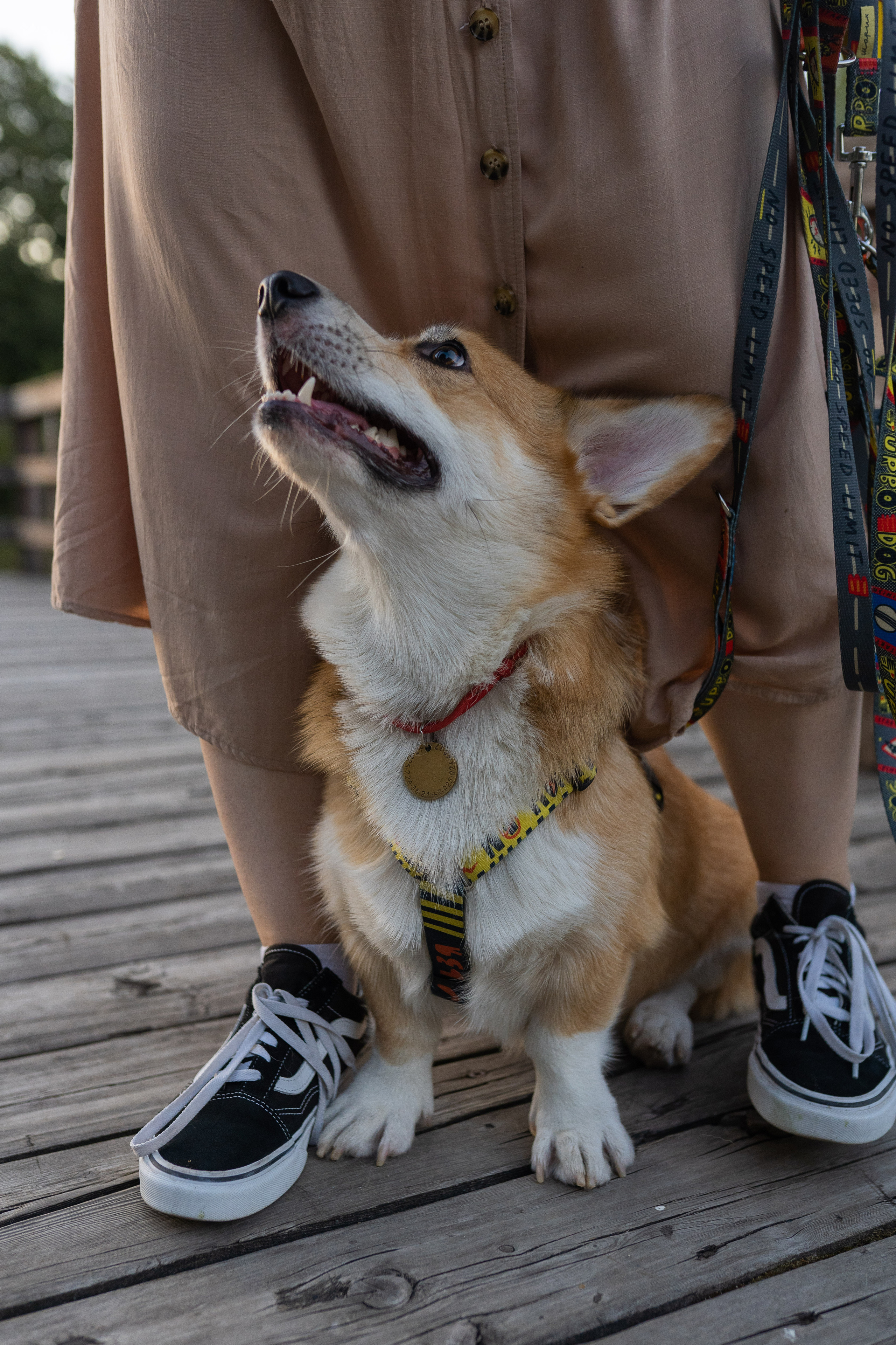Катя и Боря, Джамгаровский парк. Свадебный фотограф в Москве Анна Полушина