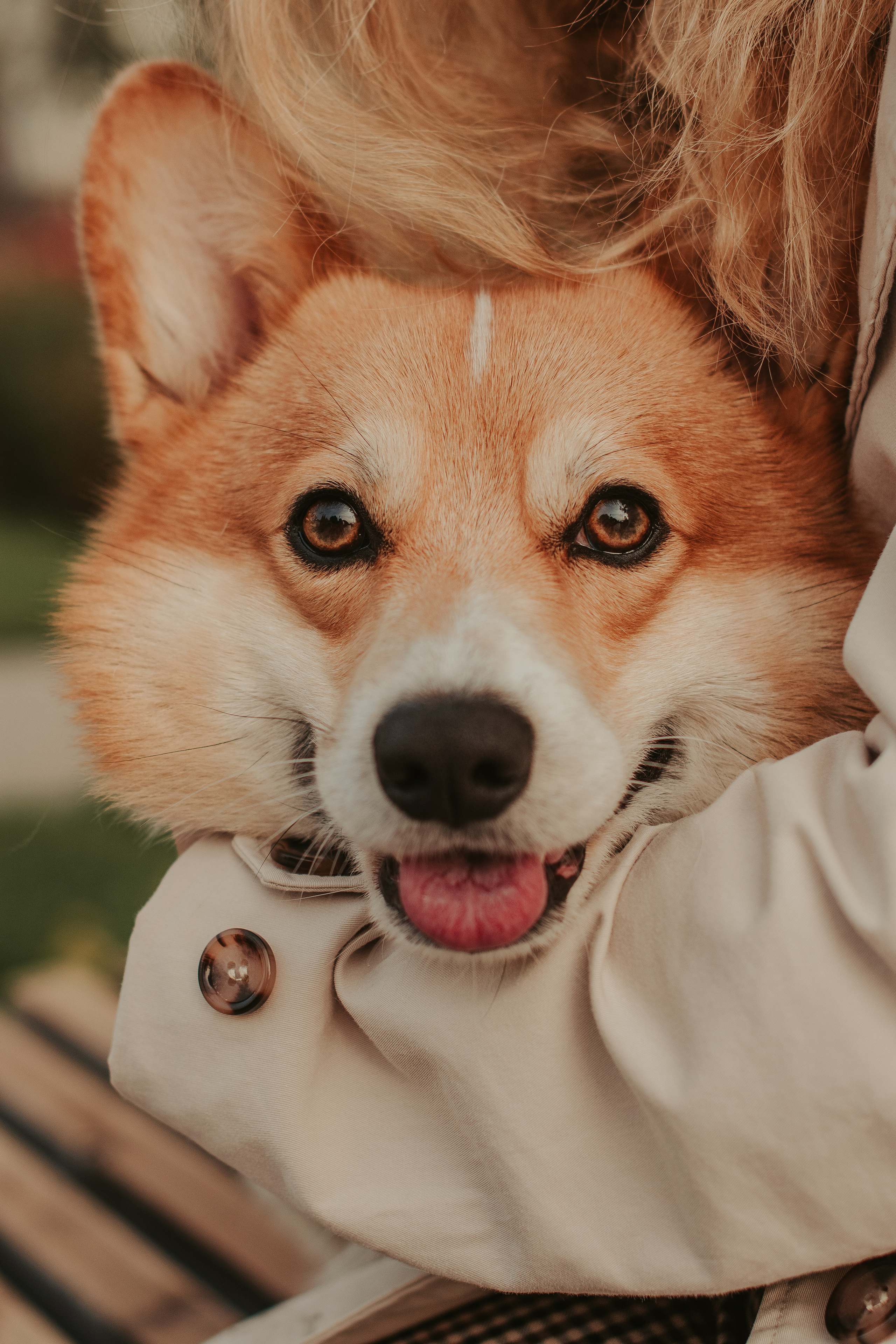 Наташа, Даша и Кевин. Свадебный фотограф в Москве Анна Полушина