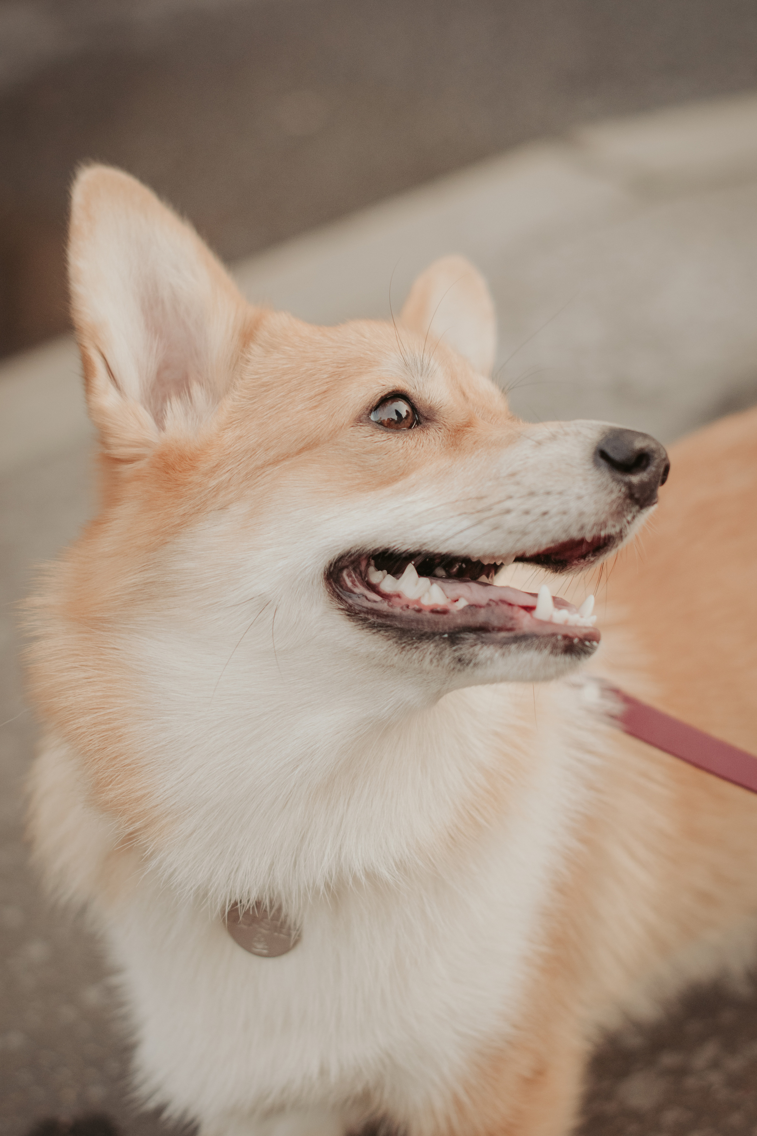 Марина и Мася, Новодевичий сквер. Свадебный фотограф в Москве Анна Полушина