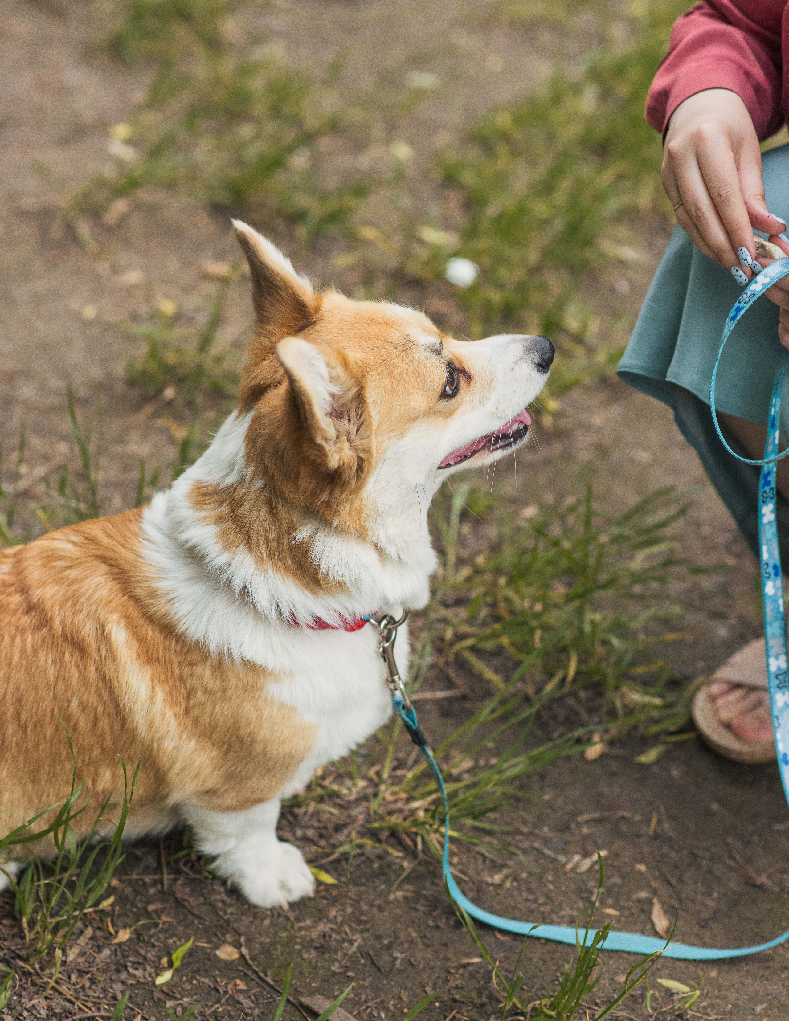 Юлия и Шаня, Покровское-Стрешнево. Свадебный фотограф в Москве Анна Полушина