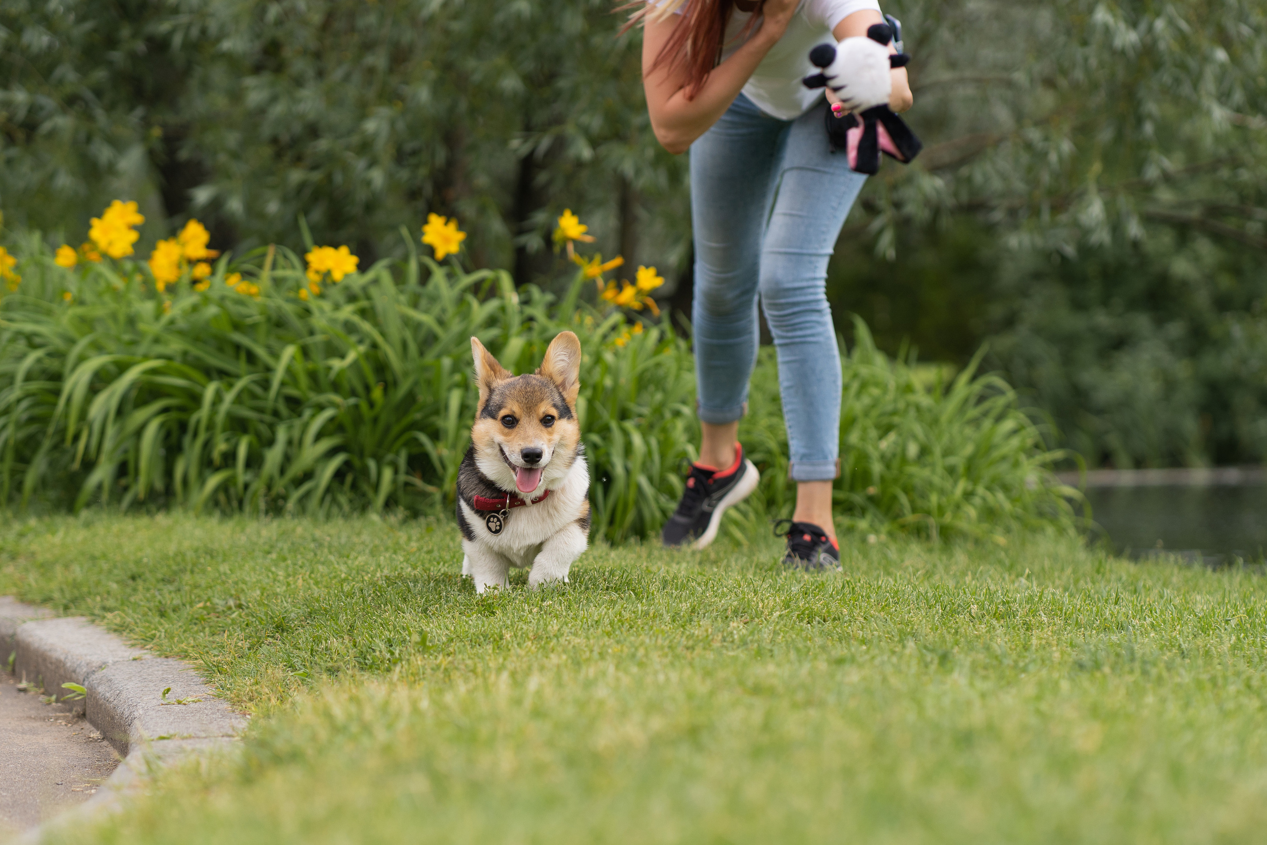 Каспер и Полина, Ботанический сад. Свадебный фотограф в Москве Анна Полушина