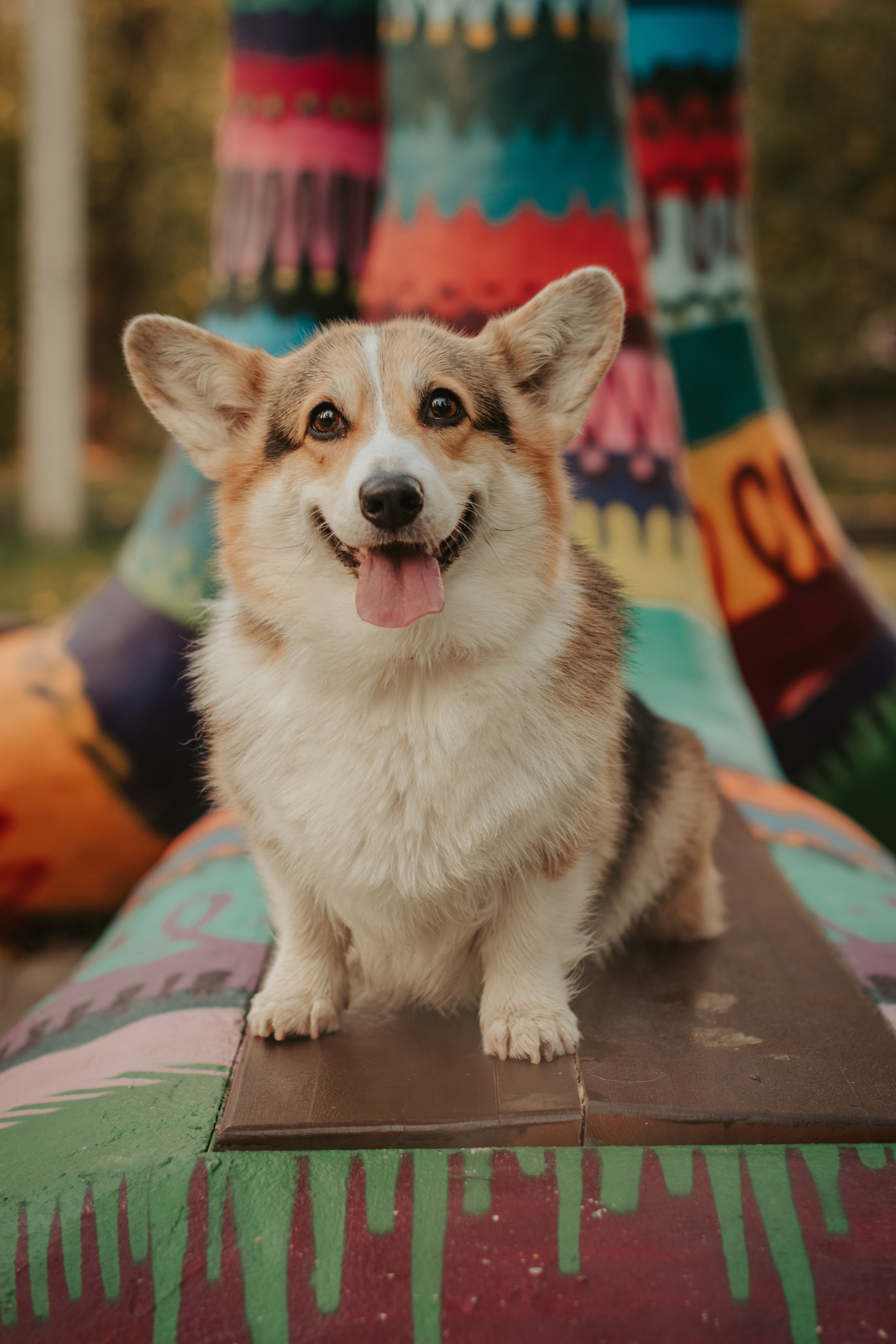 Аня и Булочка, Сокольники. Свадебный фотограф в Москве Анна Полушина