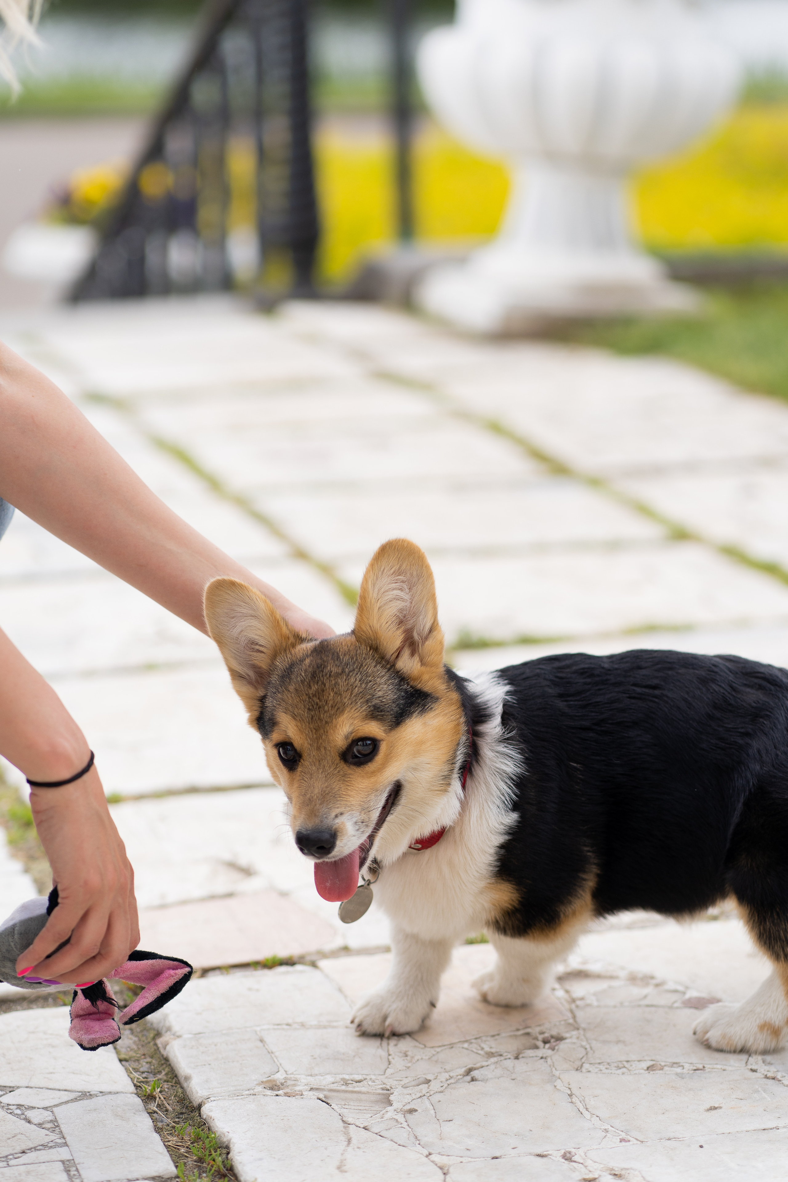 Каспер и Полина, Ботанический сад. Свадебный фотограф в Москве Анна Полушина