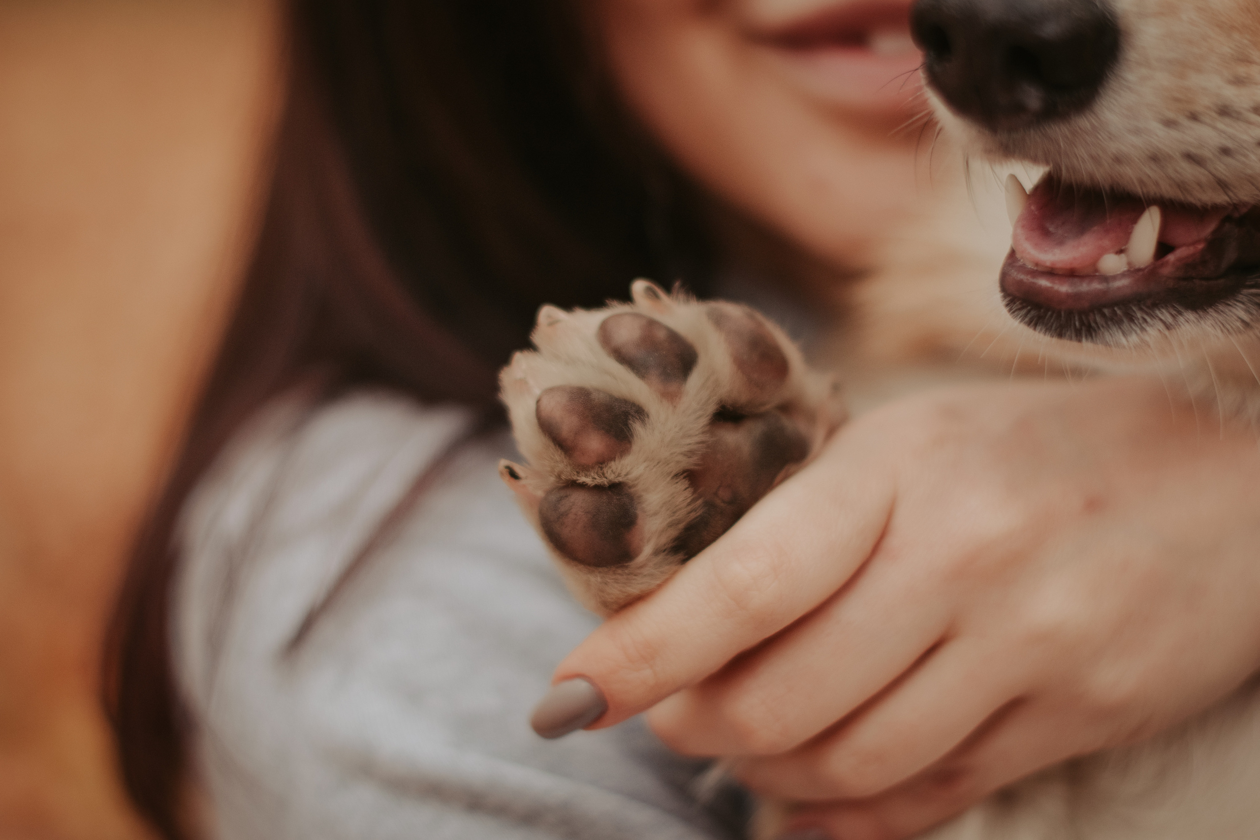 Марина и Мася, Новодевичий сквер. Свадебный фотограф в Москве Анна Полушина