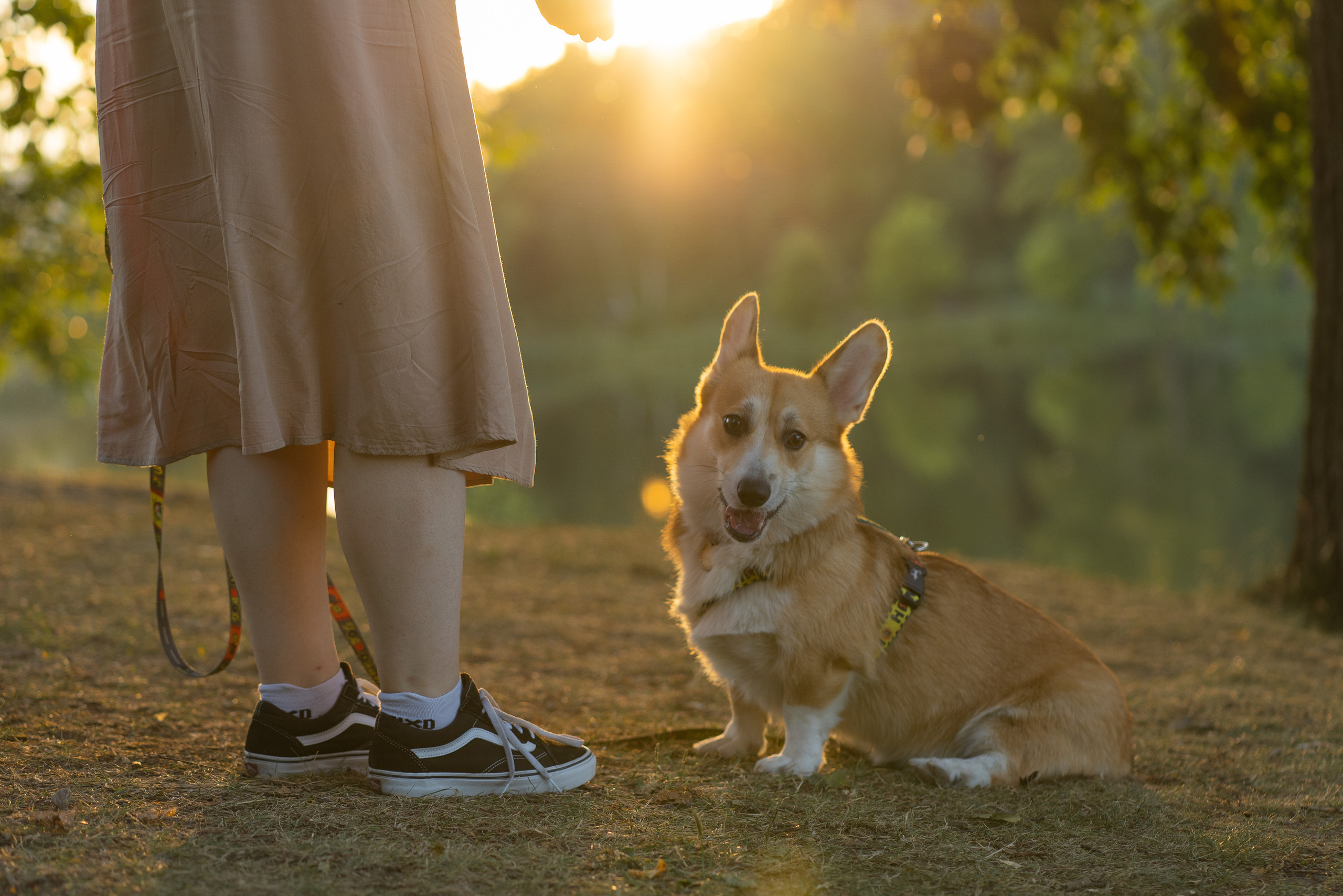 Катя и Боря, Джамгаровский парк. Свадебный фотограф в Москве Анна Полушина