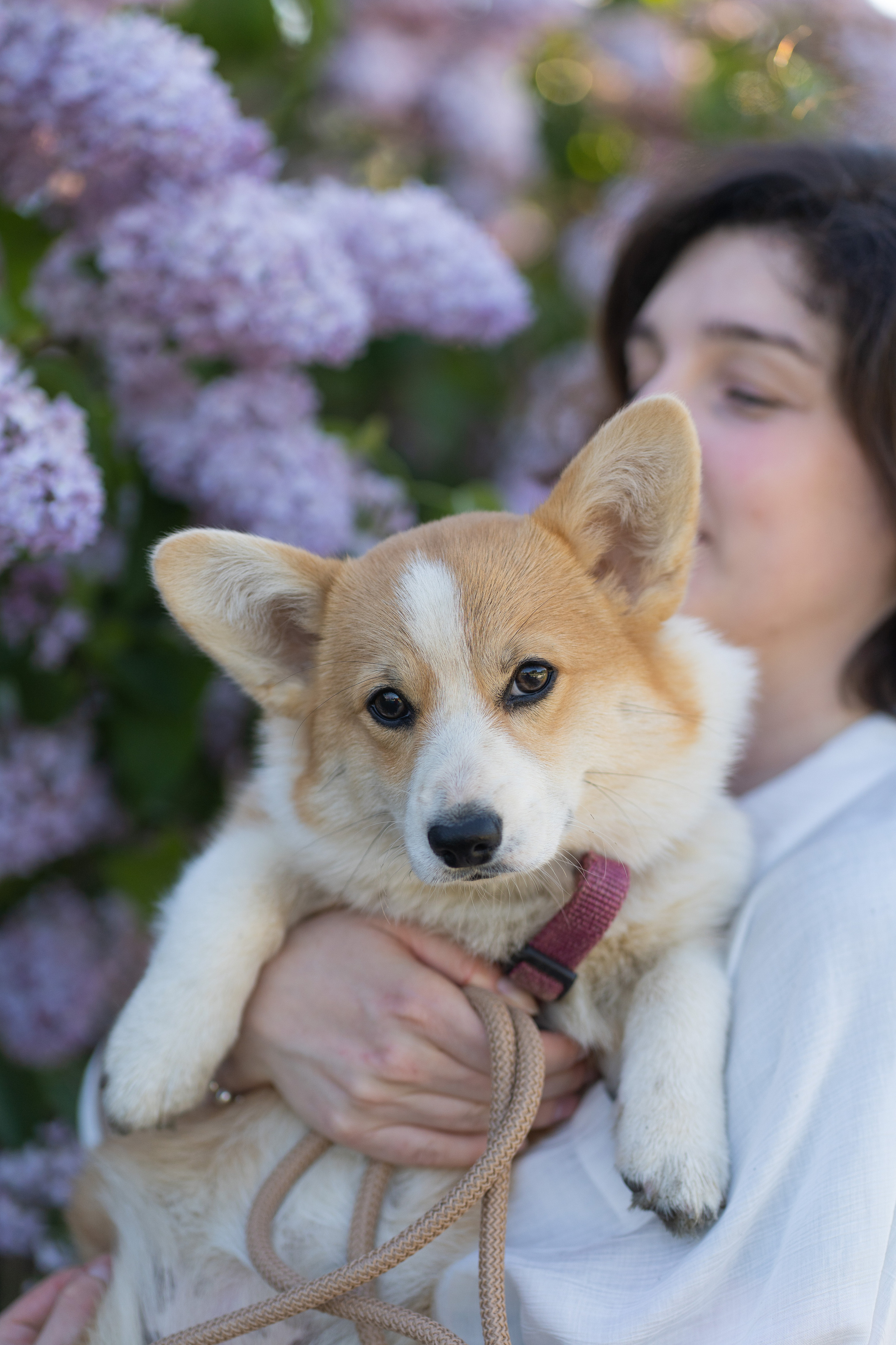 Полина и Стеша, Сиреневый сад. Свадебный фотограф в Москве Анна Полушина