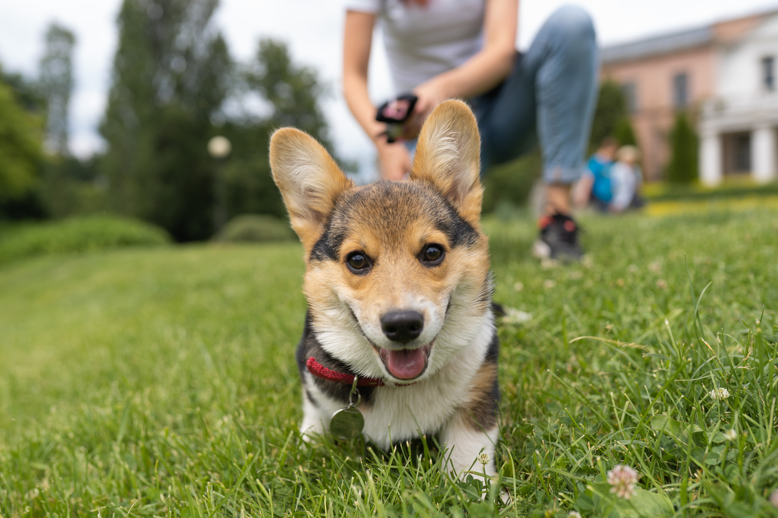 Каспер и Полина, Ботанический сад. Свадебный фотограф в Москве Анна Полушина
