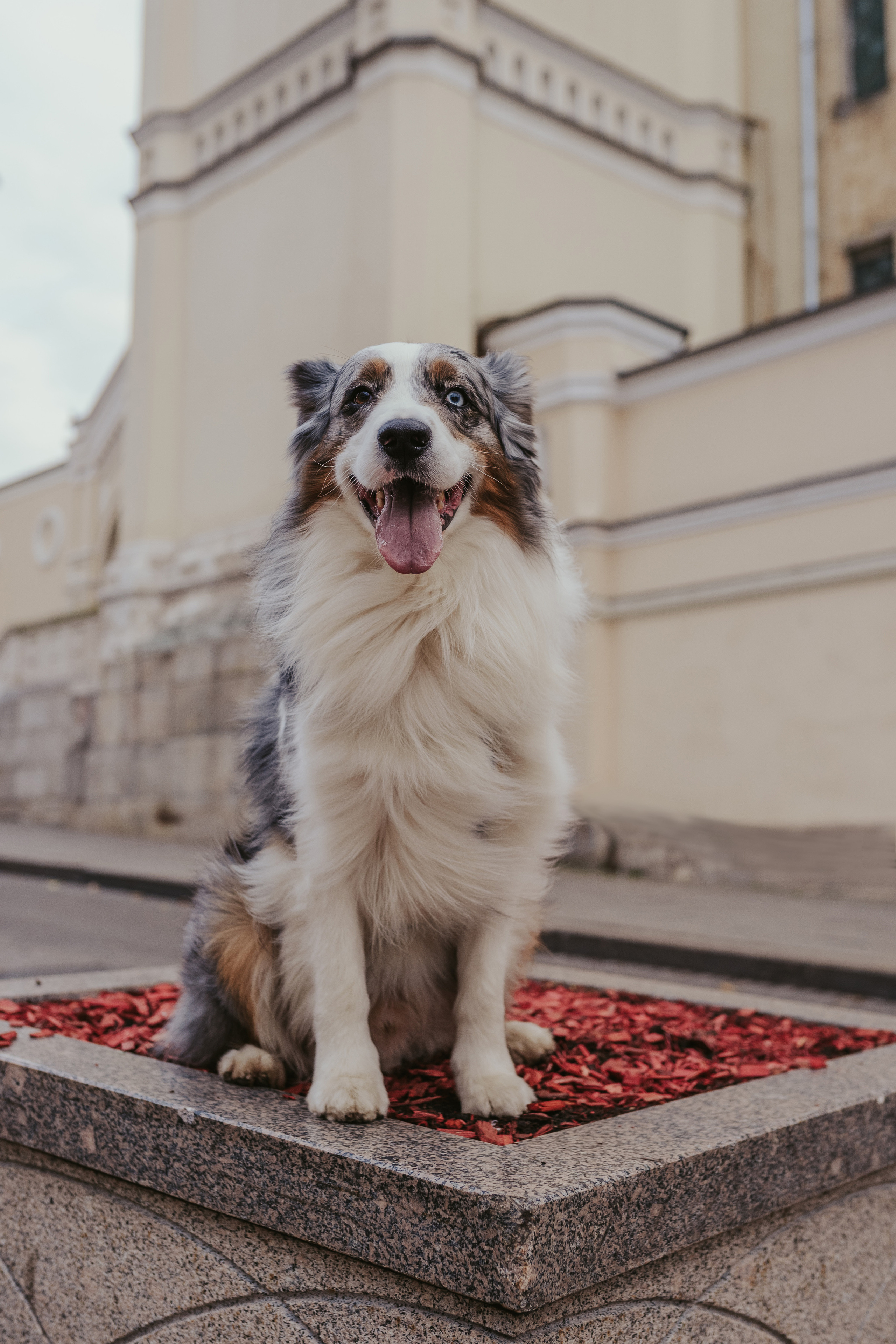 Лена и Принц, Китай- Город. Свадебный фотограф в Москве Анна Полушина