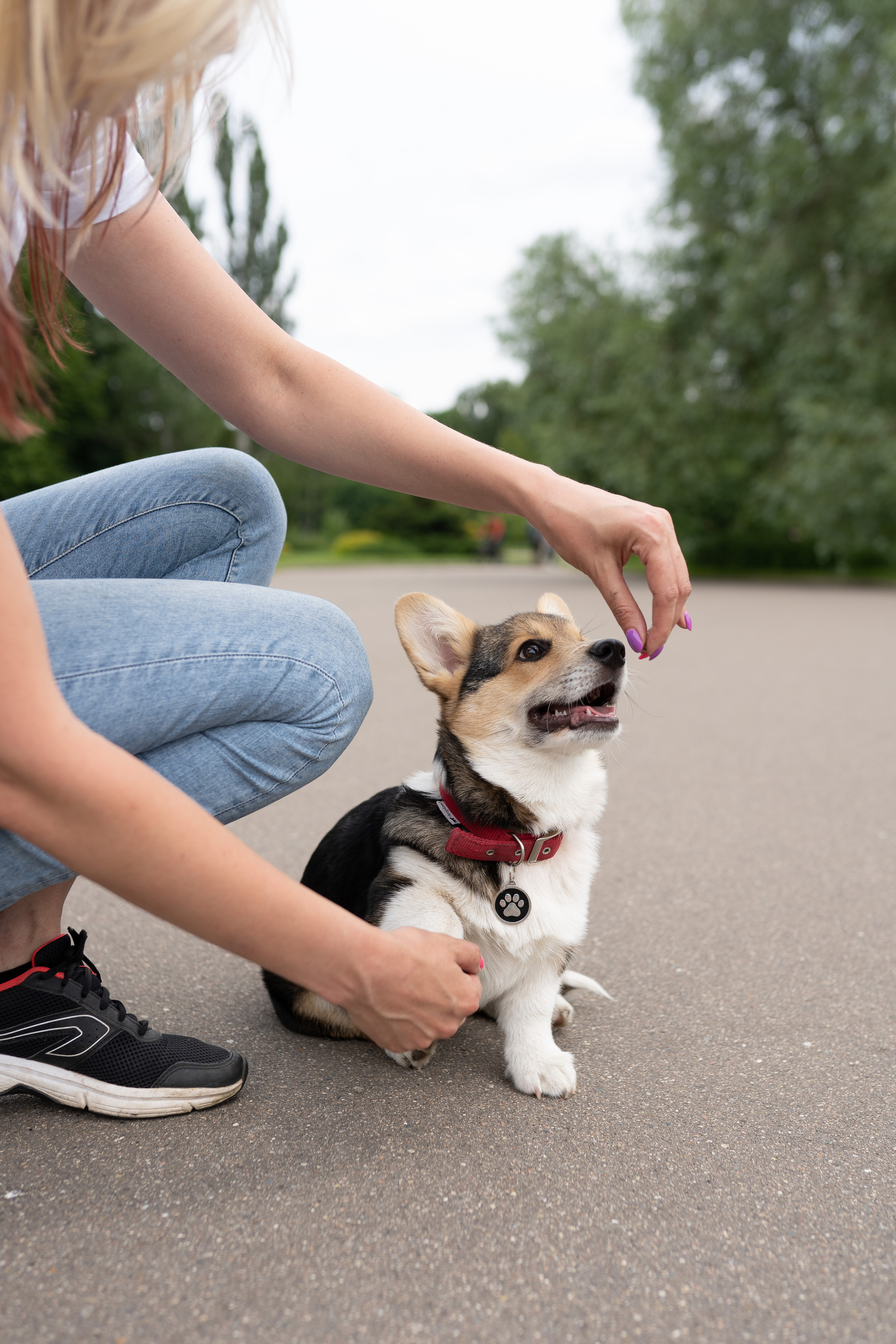 Каспер и Полина, Ботанический сад. Свадебный фотограф в Москве Анна Полушина