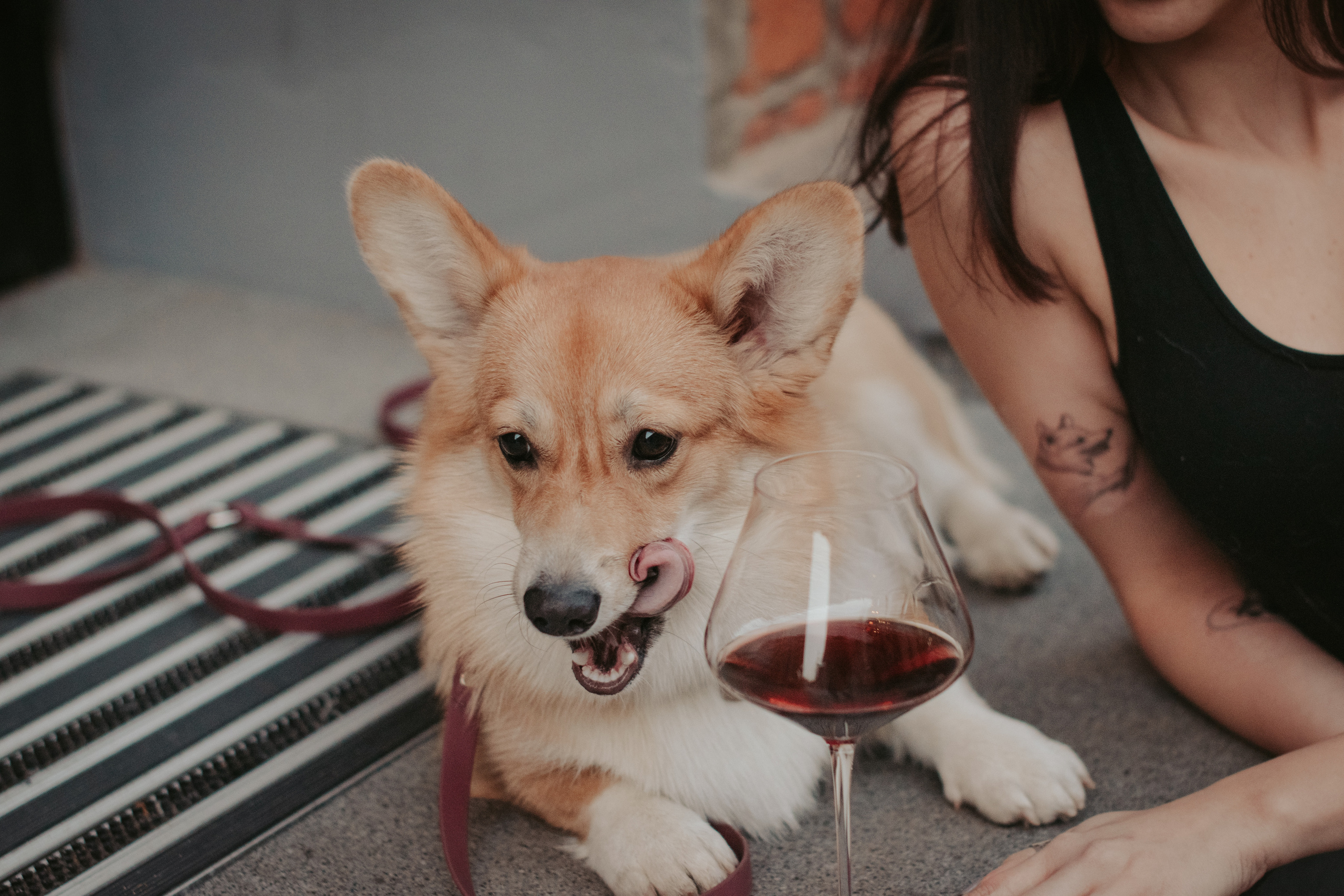 Марина и Мася, Новодевичий сквер. Свадебный фотограф в Москве Анна Полушина