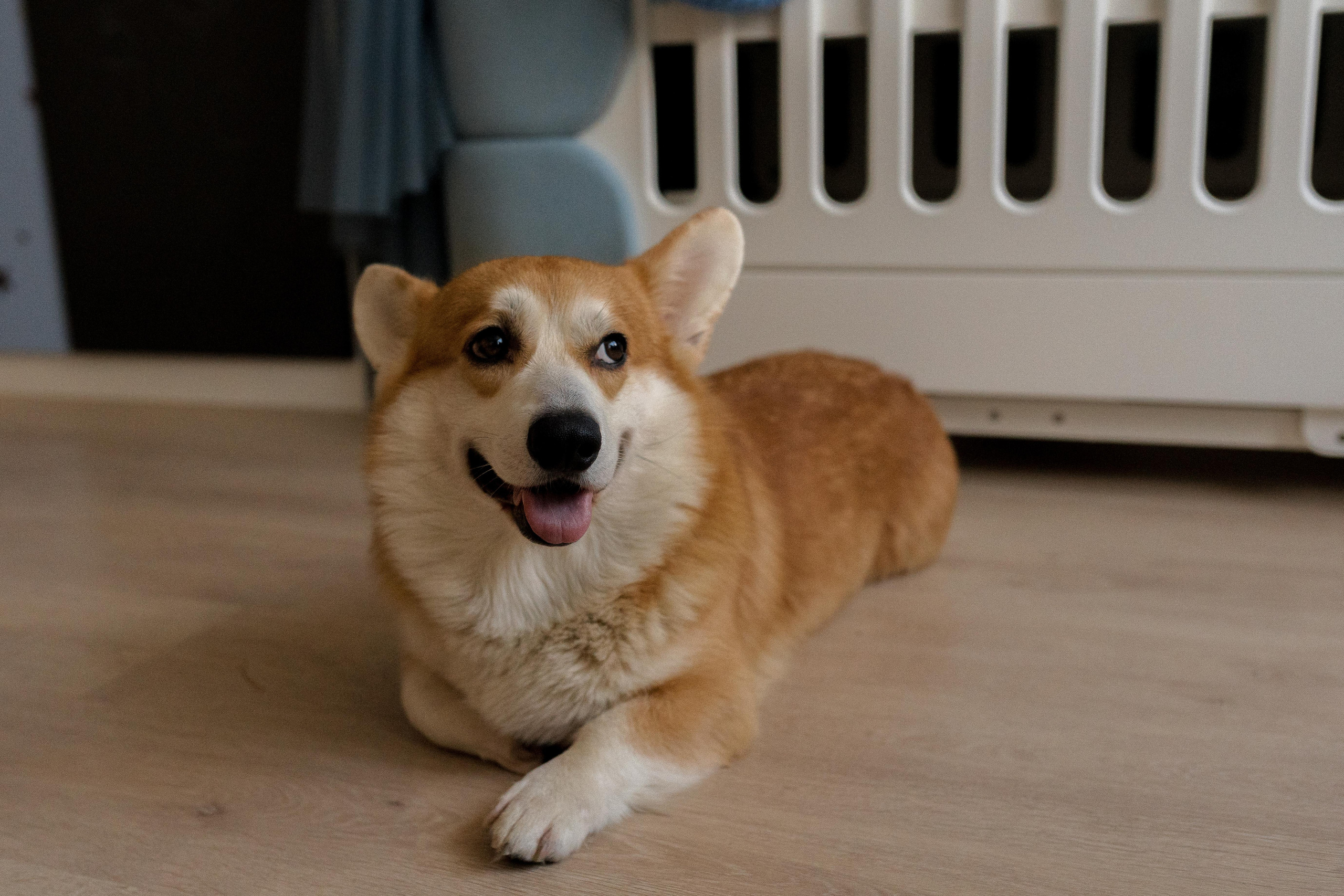 Семейная фотосессия в Москве, семейный фотограф Анна Полушина. Свадебный фотограф в Москве Анна Полушина