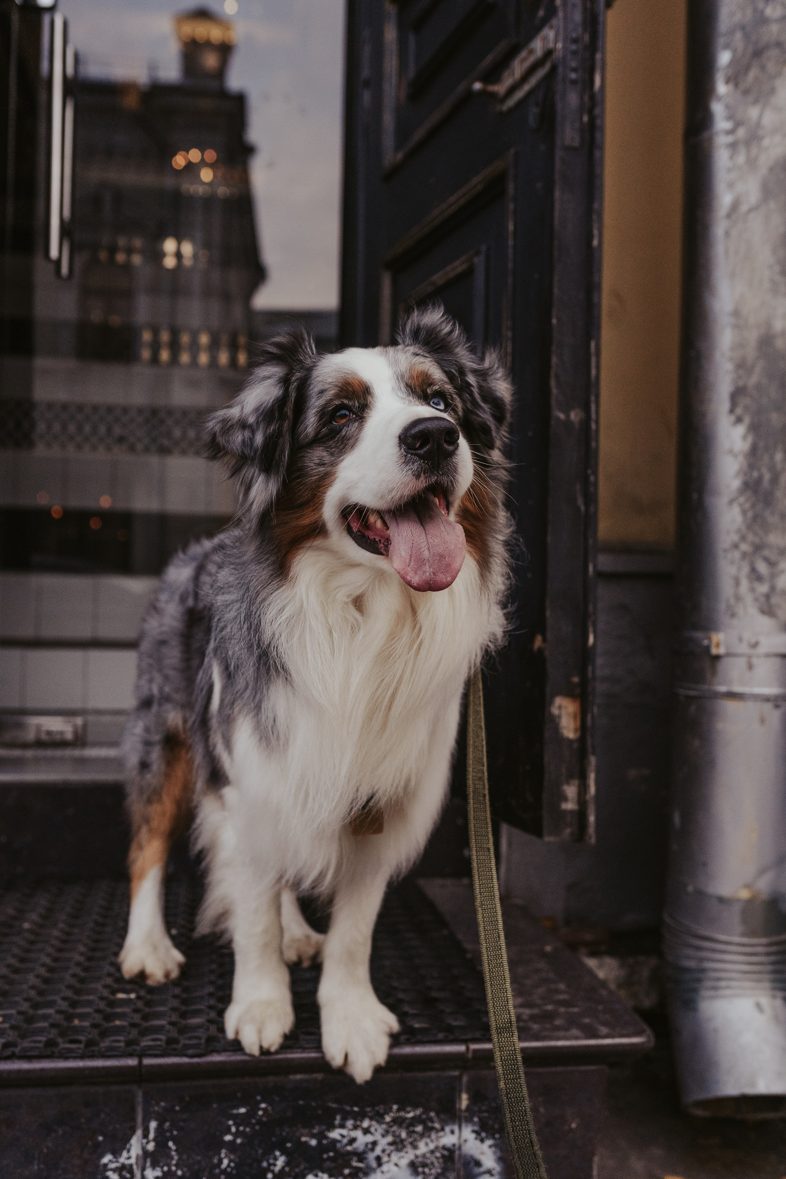 Лена и Принц, Китай- Город. Свадебный фотограф в Москве Анна Полушина