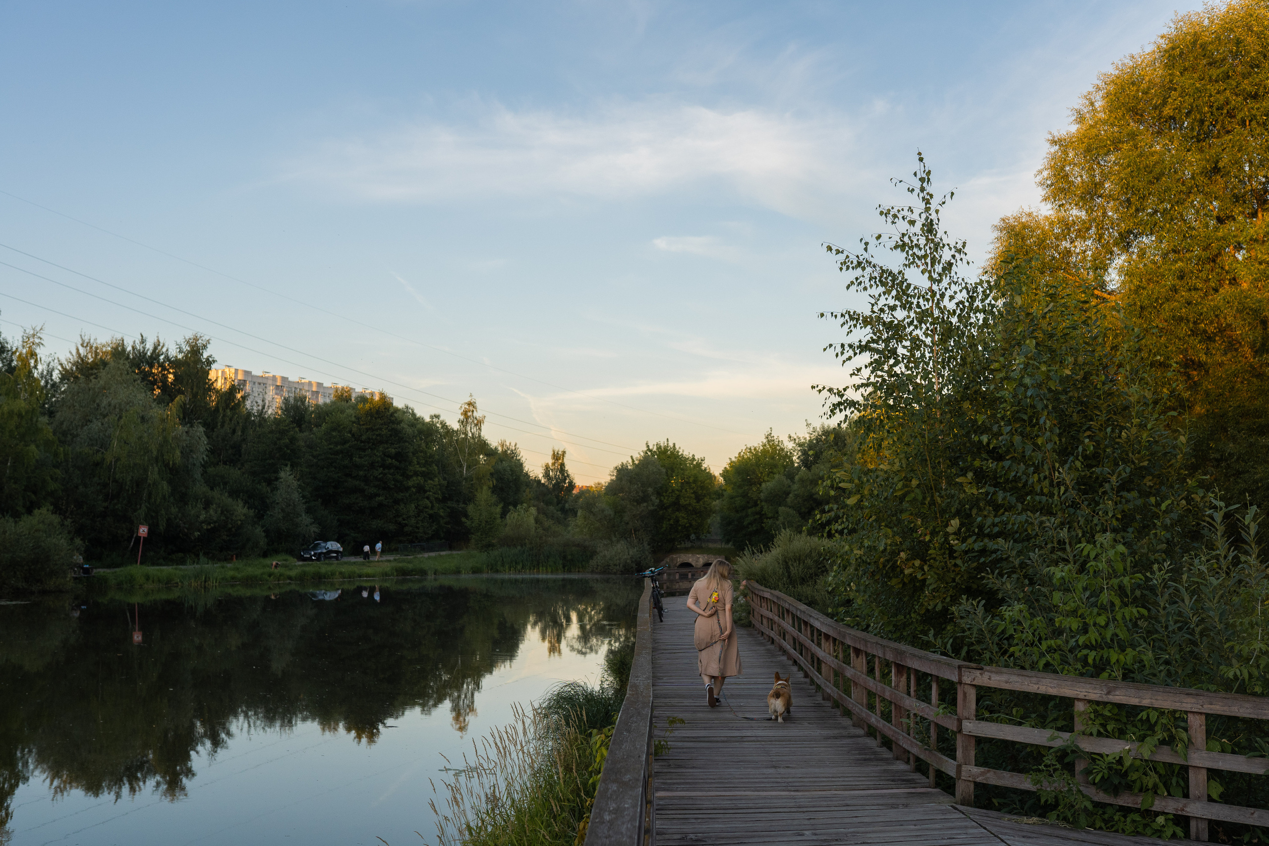Катя и Боря, Джамгаровский парк. Свадебный фотограф в Москве Анна Полушина