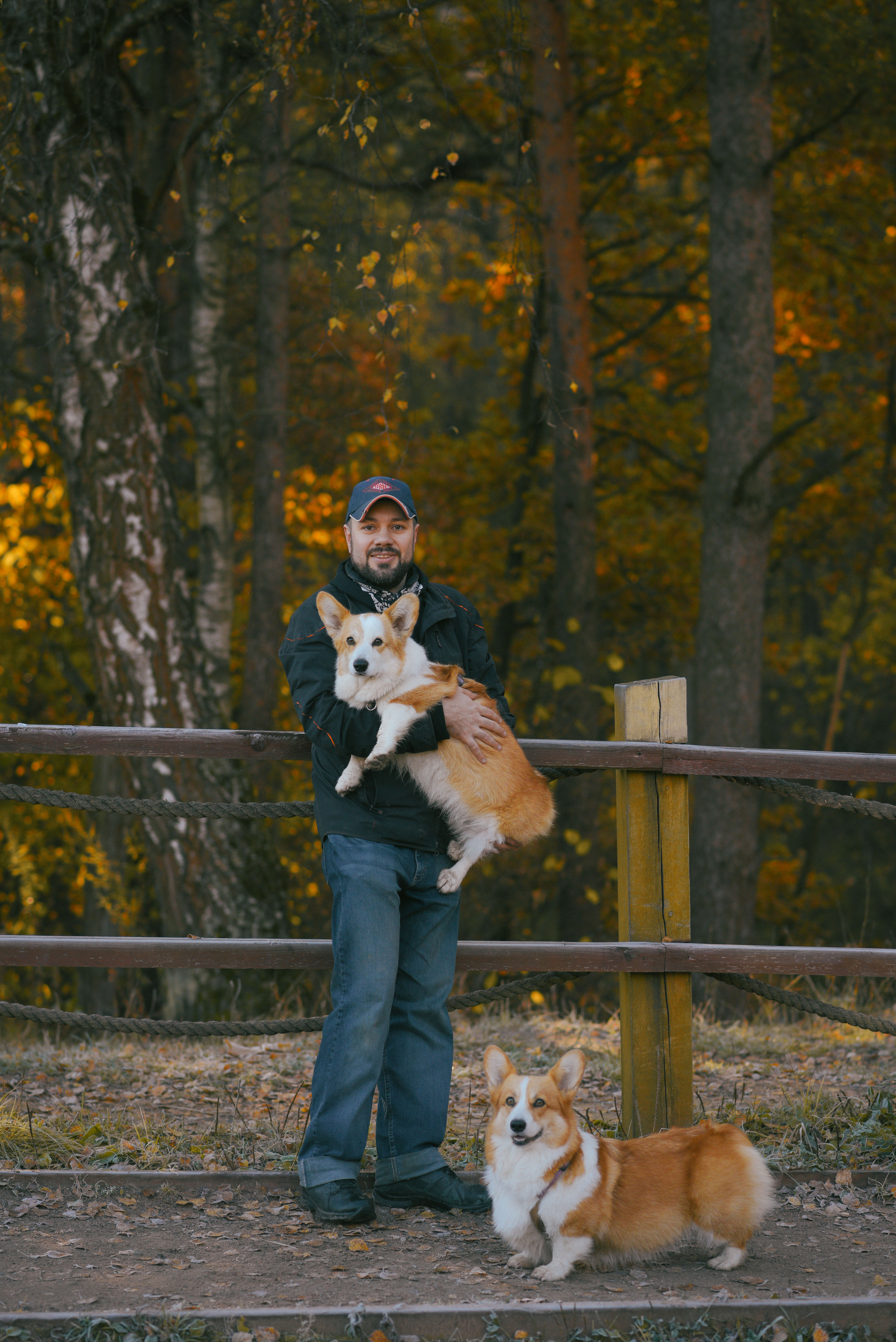 Фотосессия с питомцем в Москве. Свадебный фотограф в Москве Анна Полушина