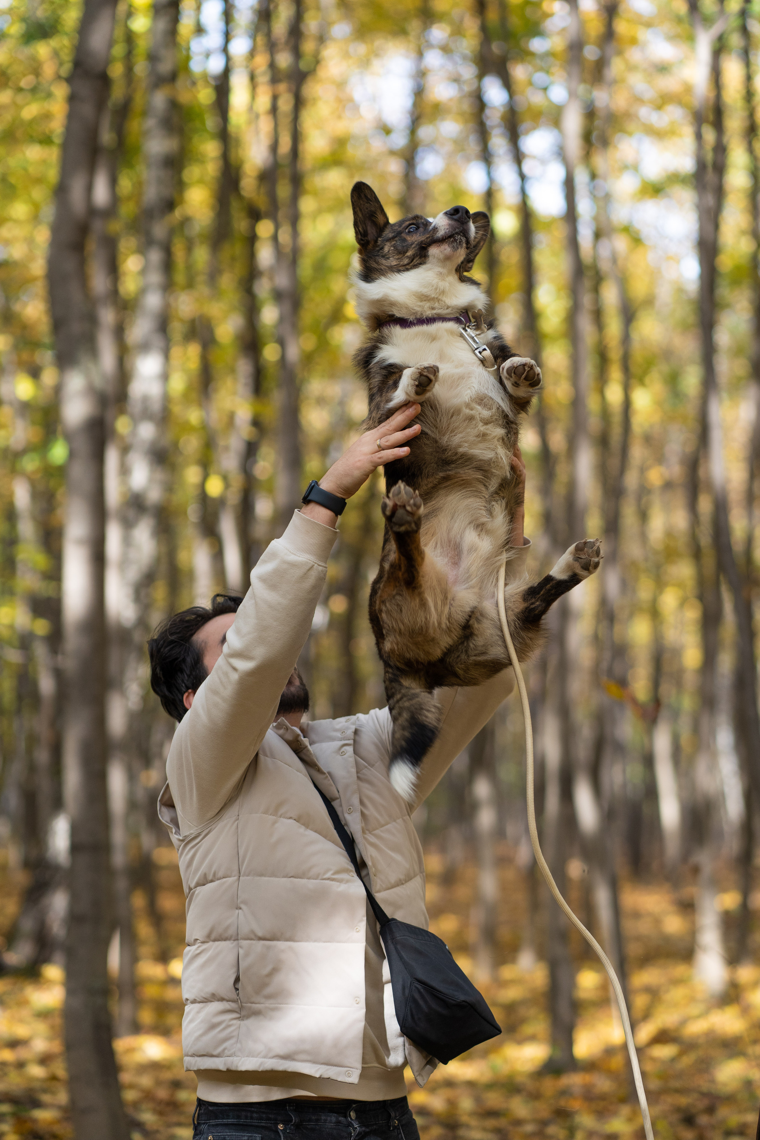 Боря, Даша и Маффин. Свадебный фотограф в Москве Анна Полушина