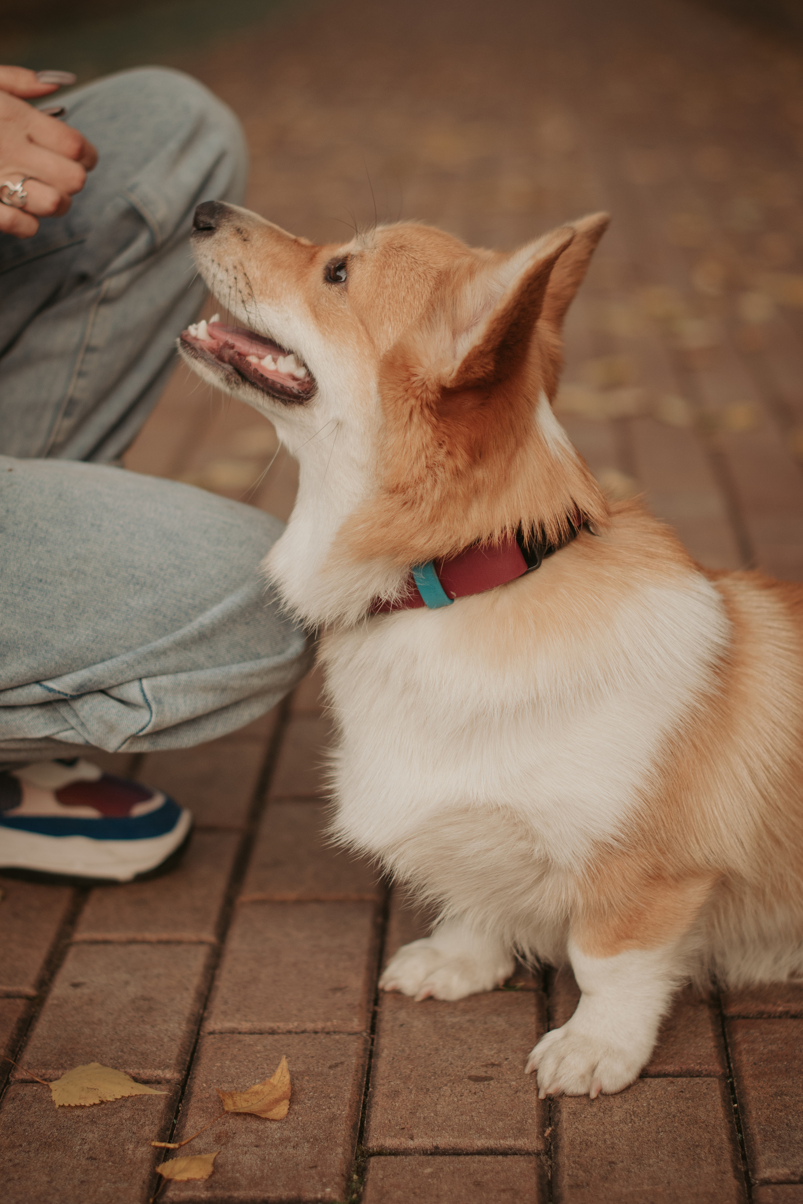 Марина и Мася, Новодевичий сквер. Свадебный фотограф в Москве Анна Полушина