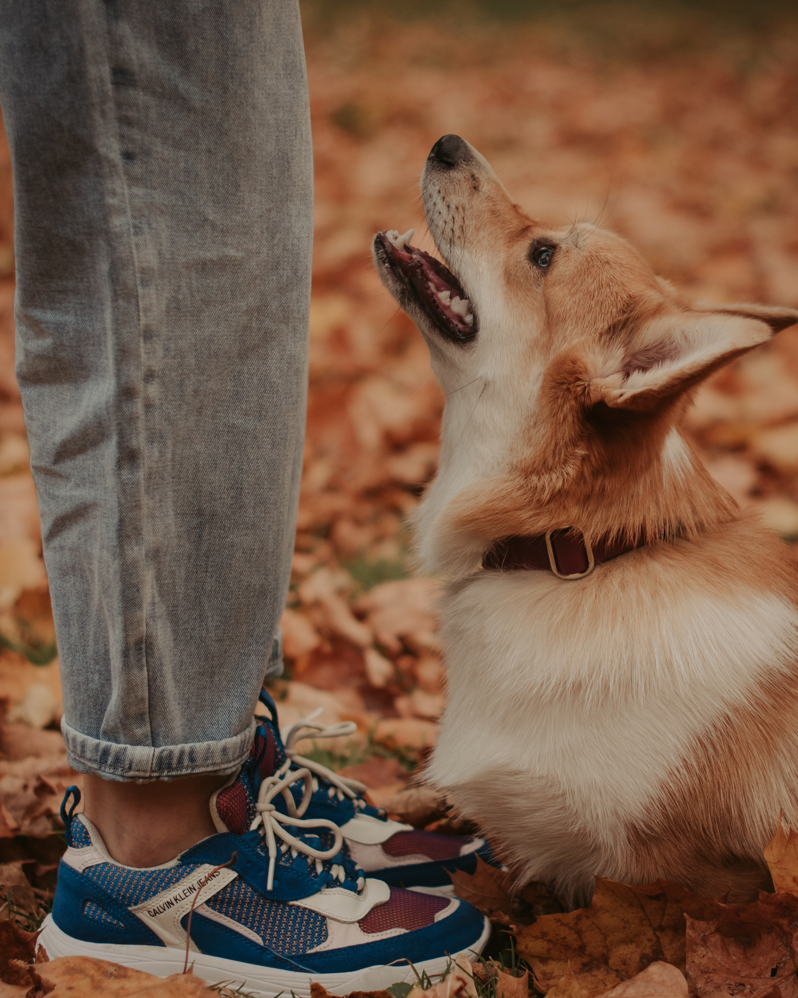 Марина и Мася, Новодевичий сквер. Свадебный фотограф в Москве Анна Полушина