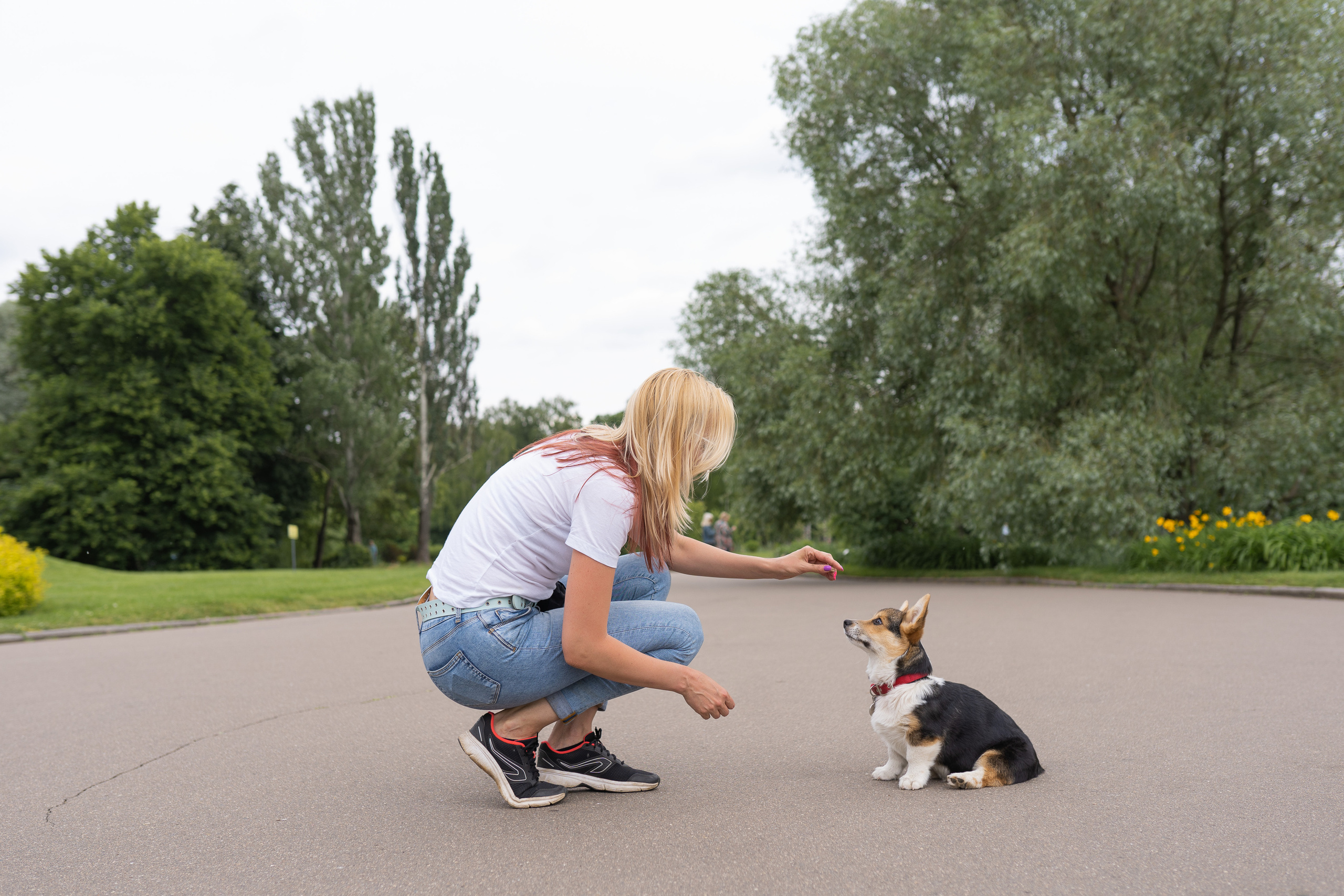Каспер и Полина, Ботанический сад. Свадебный фотограф в Москве Анна Полушина