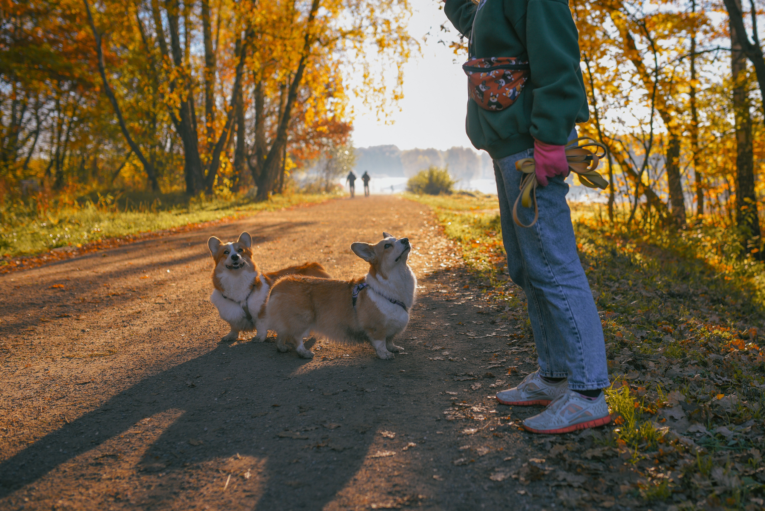 Фотосессия с питомцем в Москве. Свадебный фотограф в Москве Анна Полушина