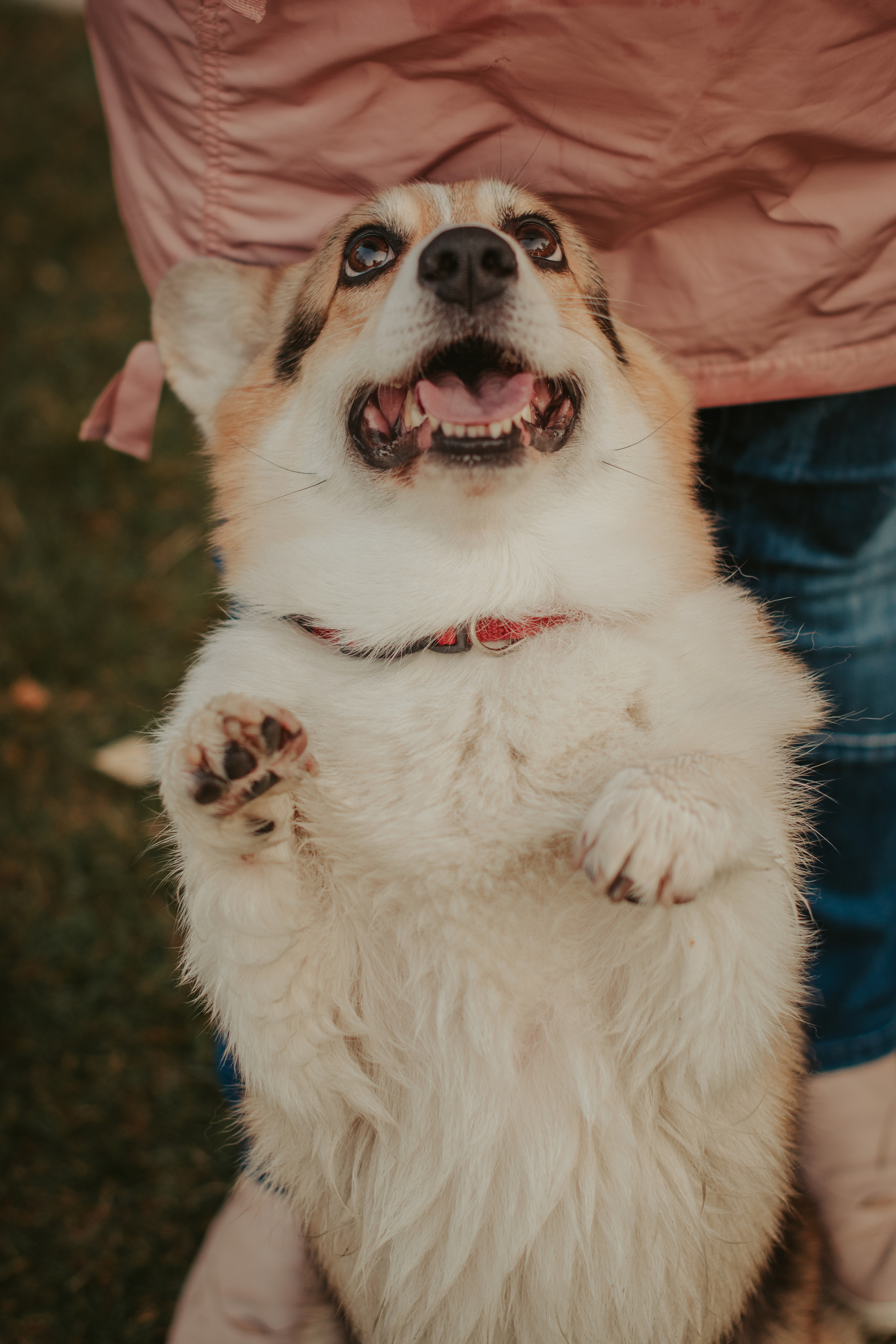 Аня и Булочка, Сокольники. Свадебный фотограф в Москве Анна Полушина
