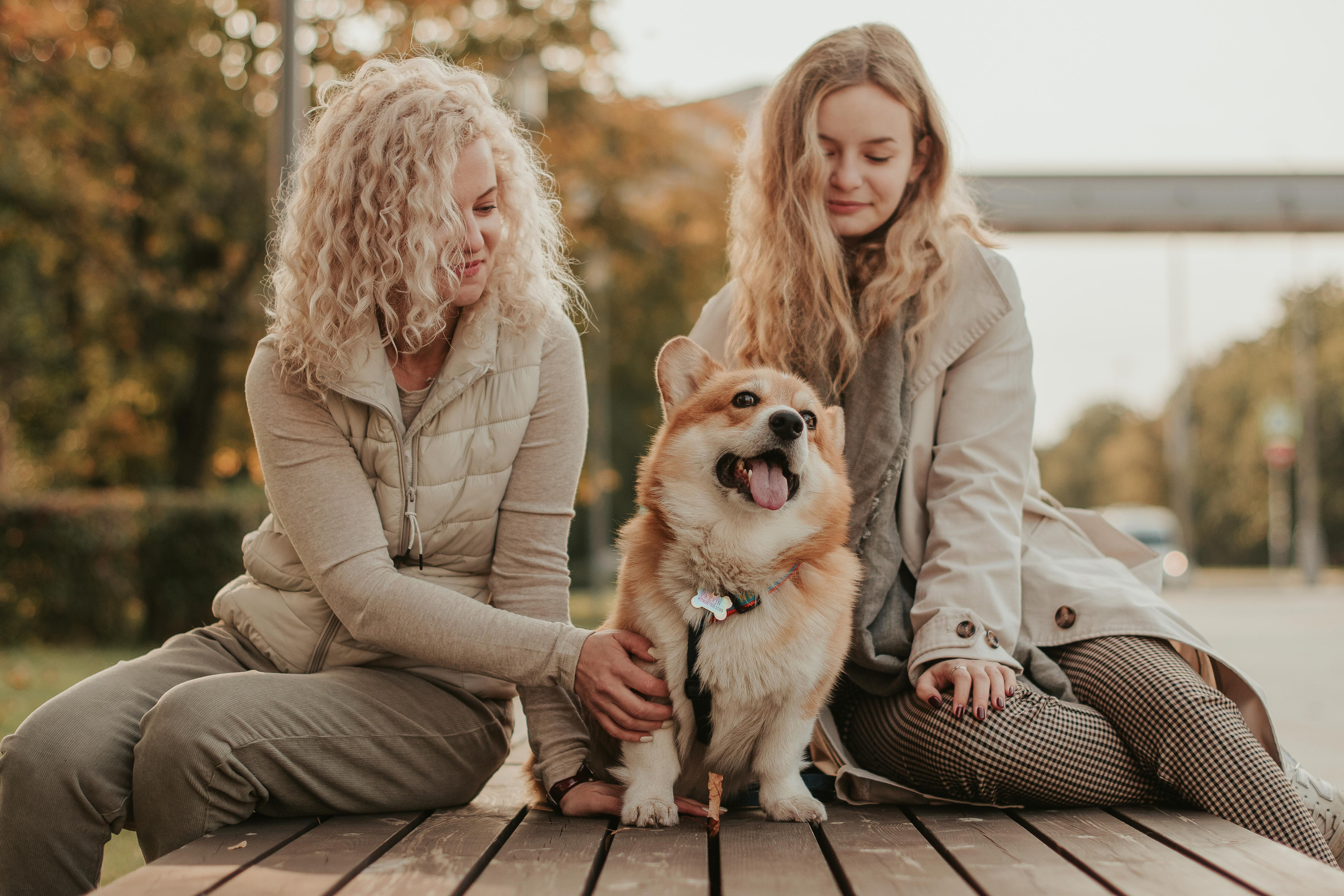 Наташа, Даша и Кевин. Свадебный фотограф в Москве Анна Полушина