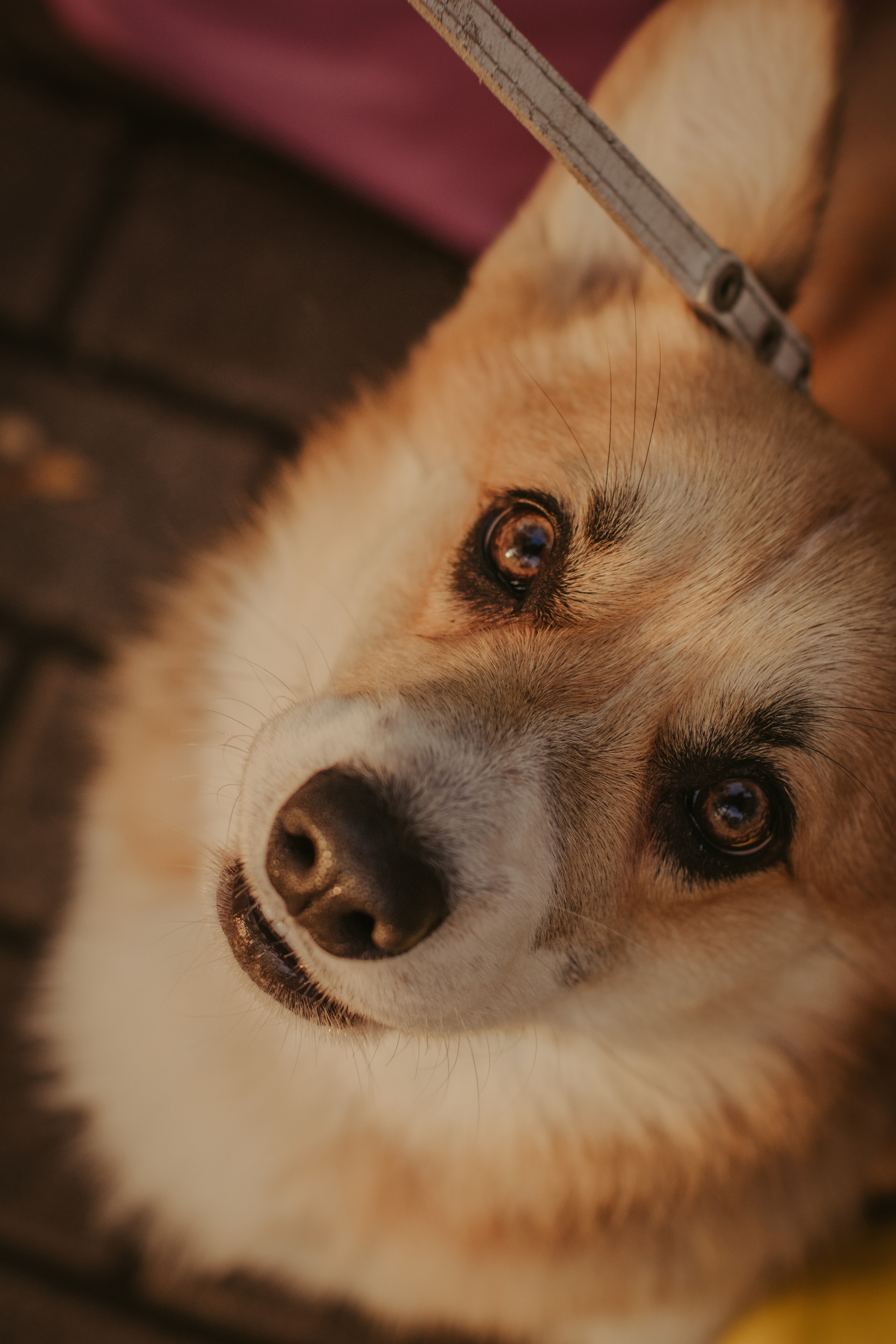 Катя и Оливер, Сокольники. Свадебный фотограф в Москве Анна Полушина