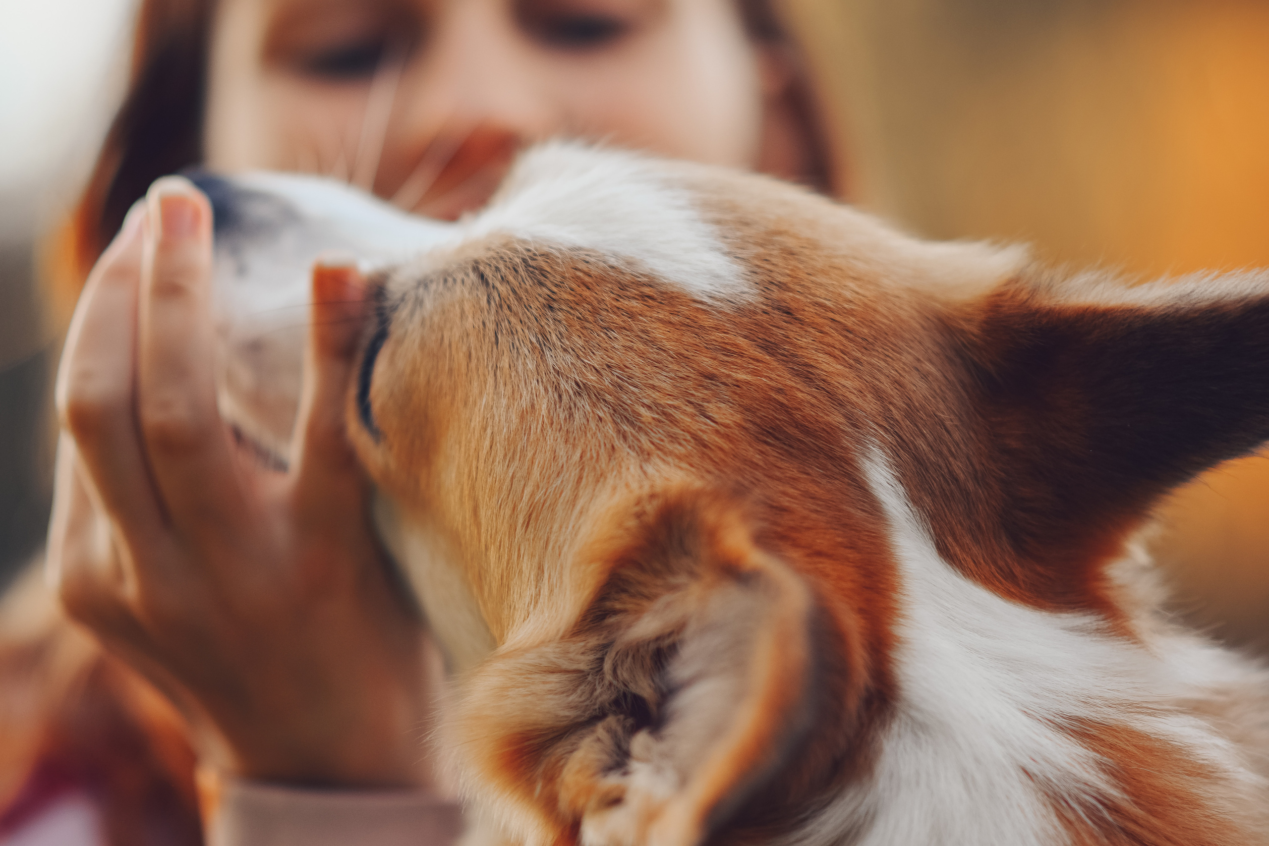 Алина и Ройс, парк на Яузе. Свадебный фотограф в Москве Анна Полушина