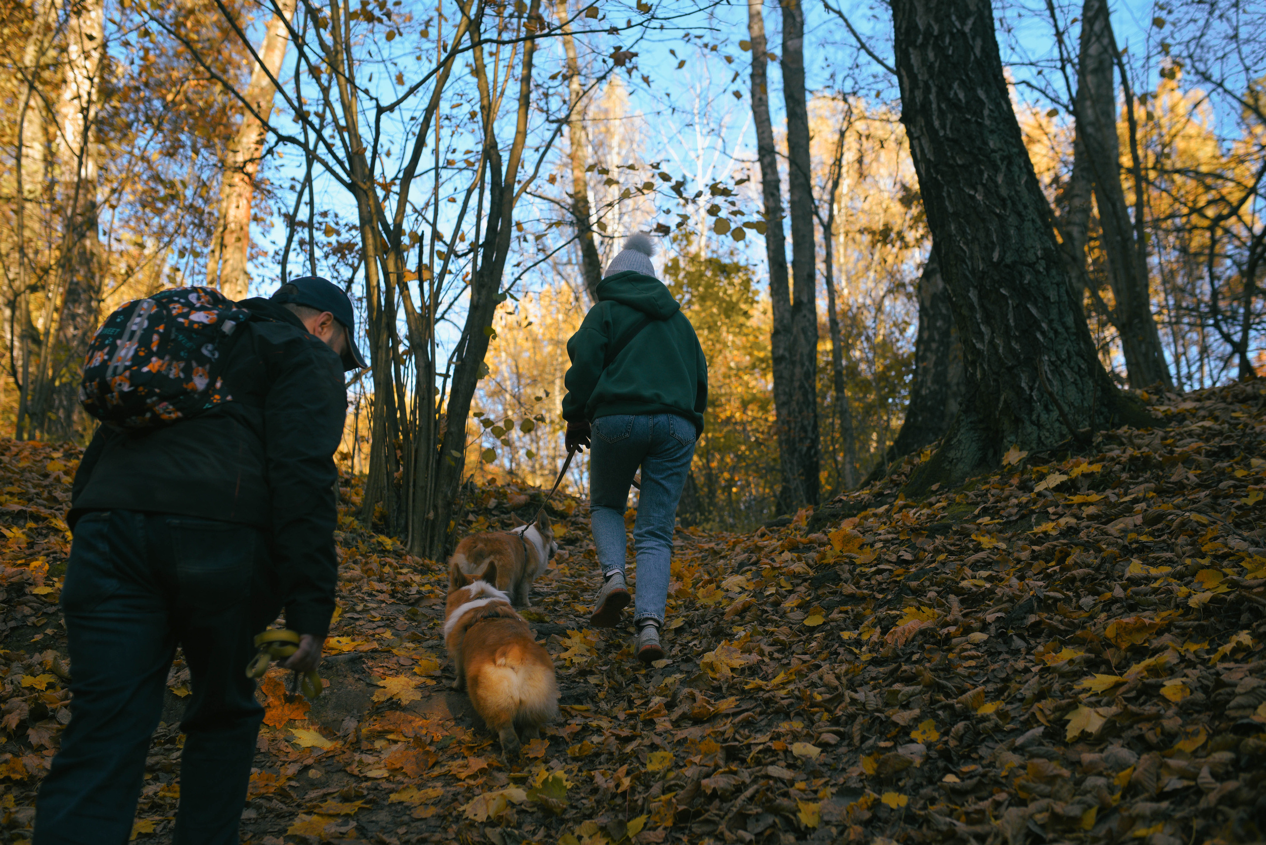 Фотосессия с питомцем в Москве. Свадебный фотограф в Москве Анна Полушина