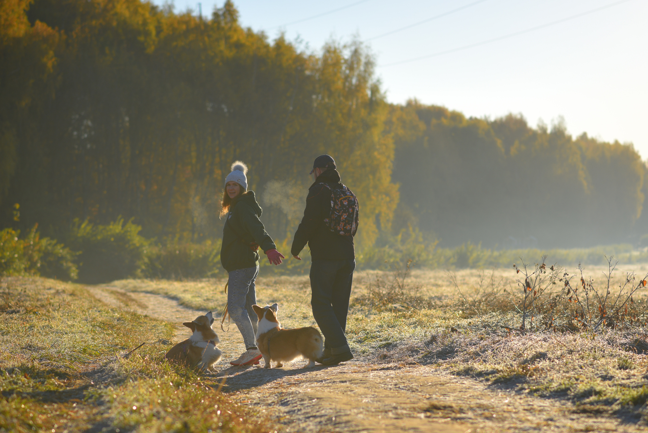 Фотосессия с питомцем в Москве. Свадебный фотограф в Москве Анна Полушина