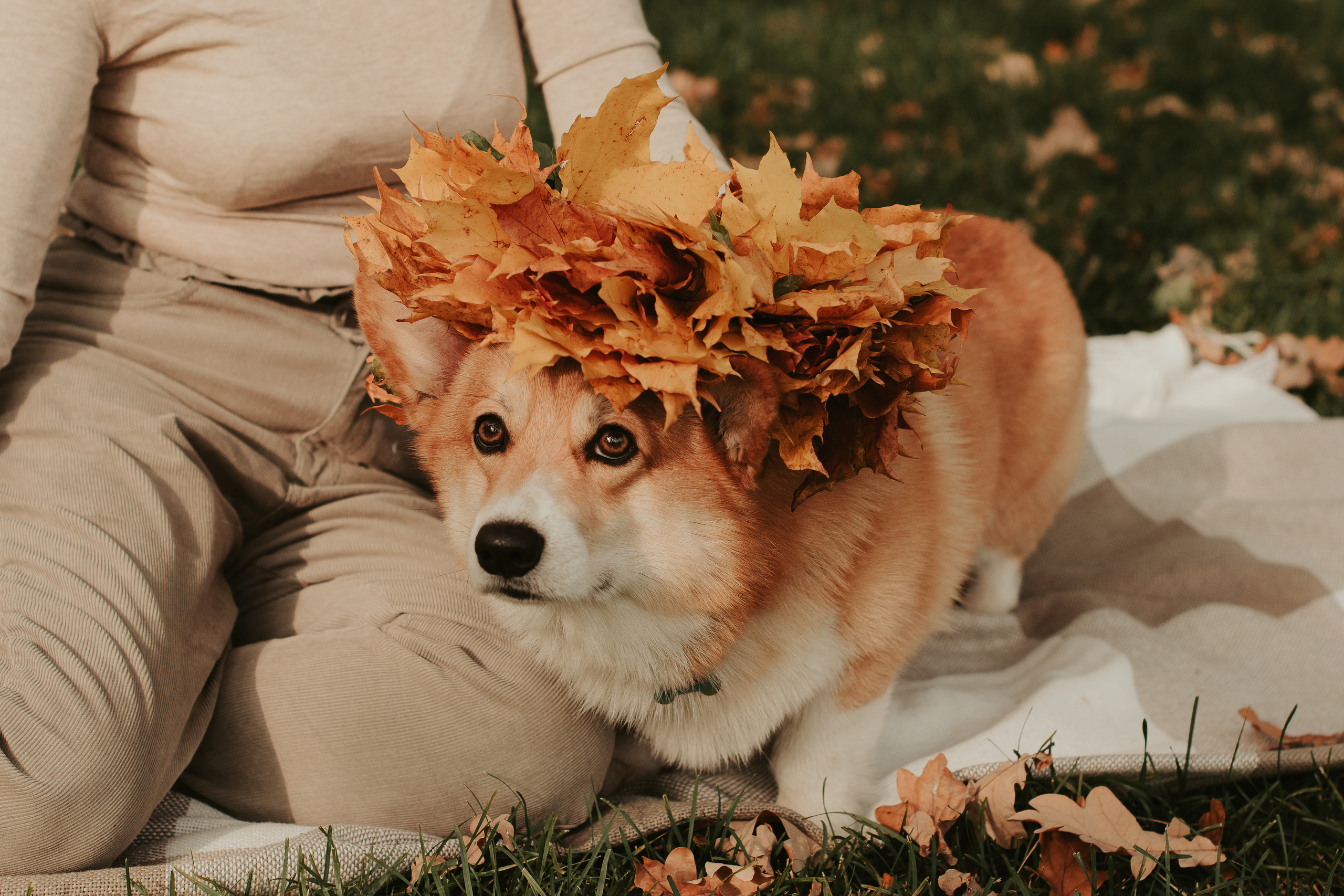 Наташа, Даша и Кевин. Свадебный фотограф в Москве Анна Полушина