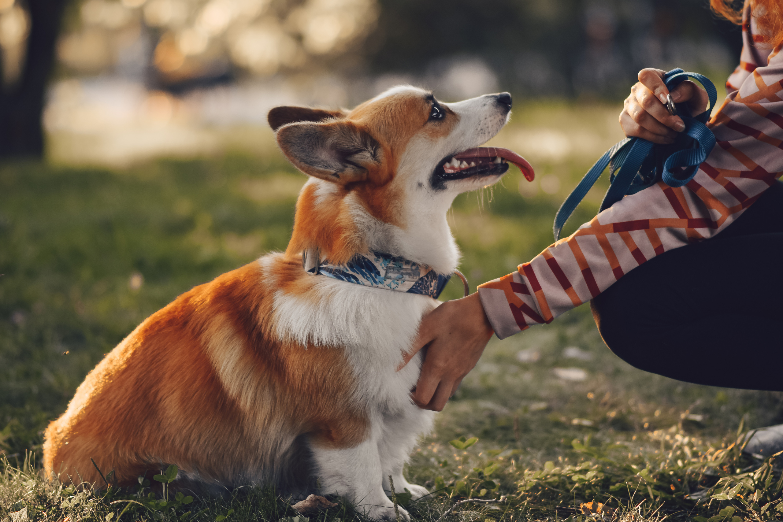 Алина и Ройс, парк на Яузе. Свадебный фотограф в Москве Анна Полушина