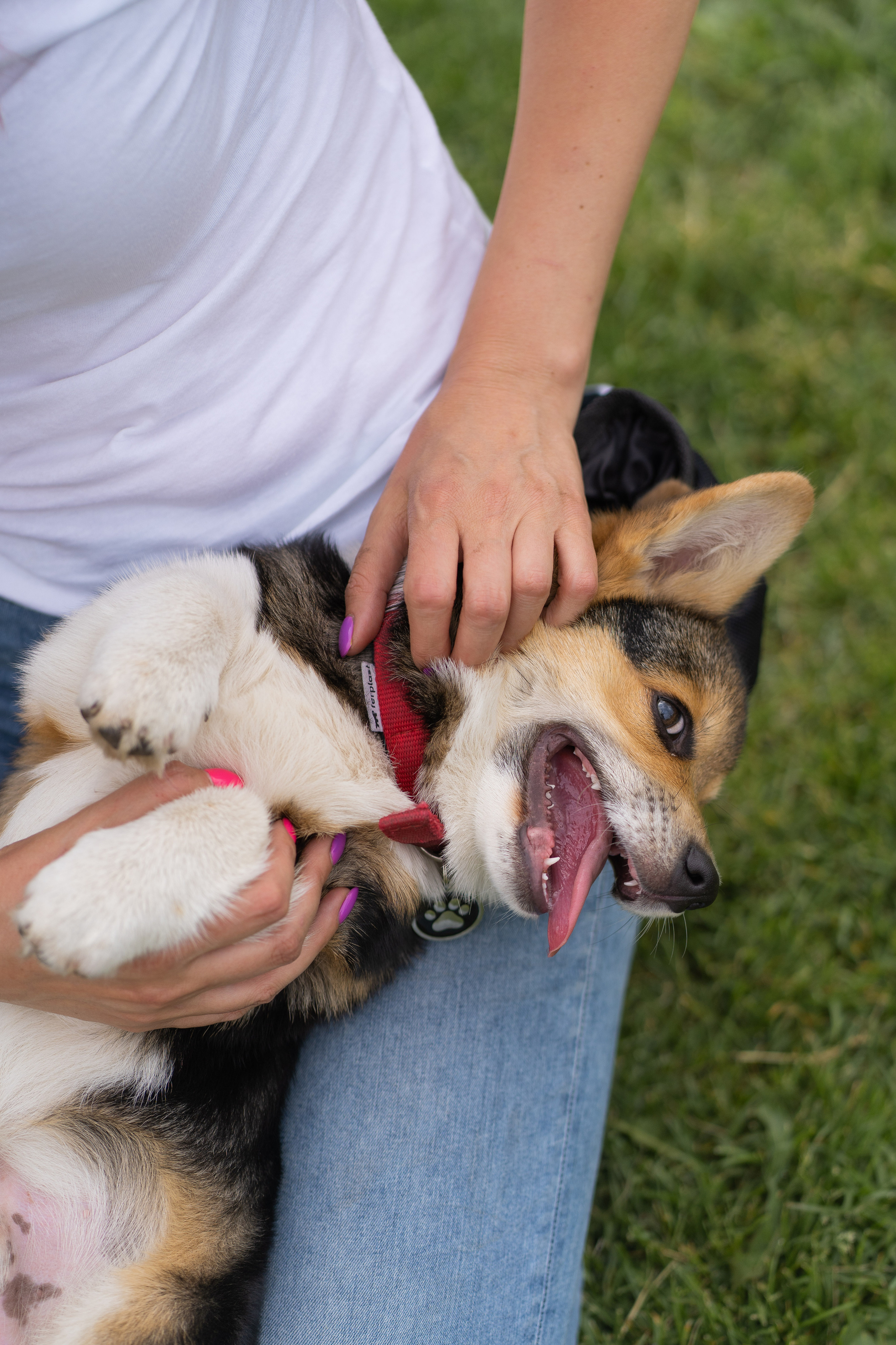 Каспер и Полина, Ботанический сад. Свадебный фотограф в Москве Анна Полушина
