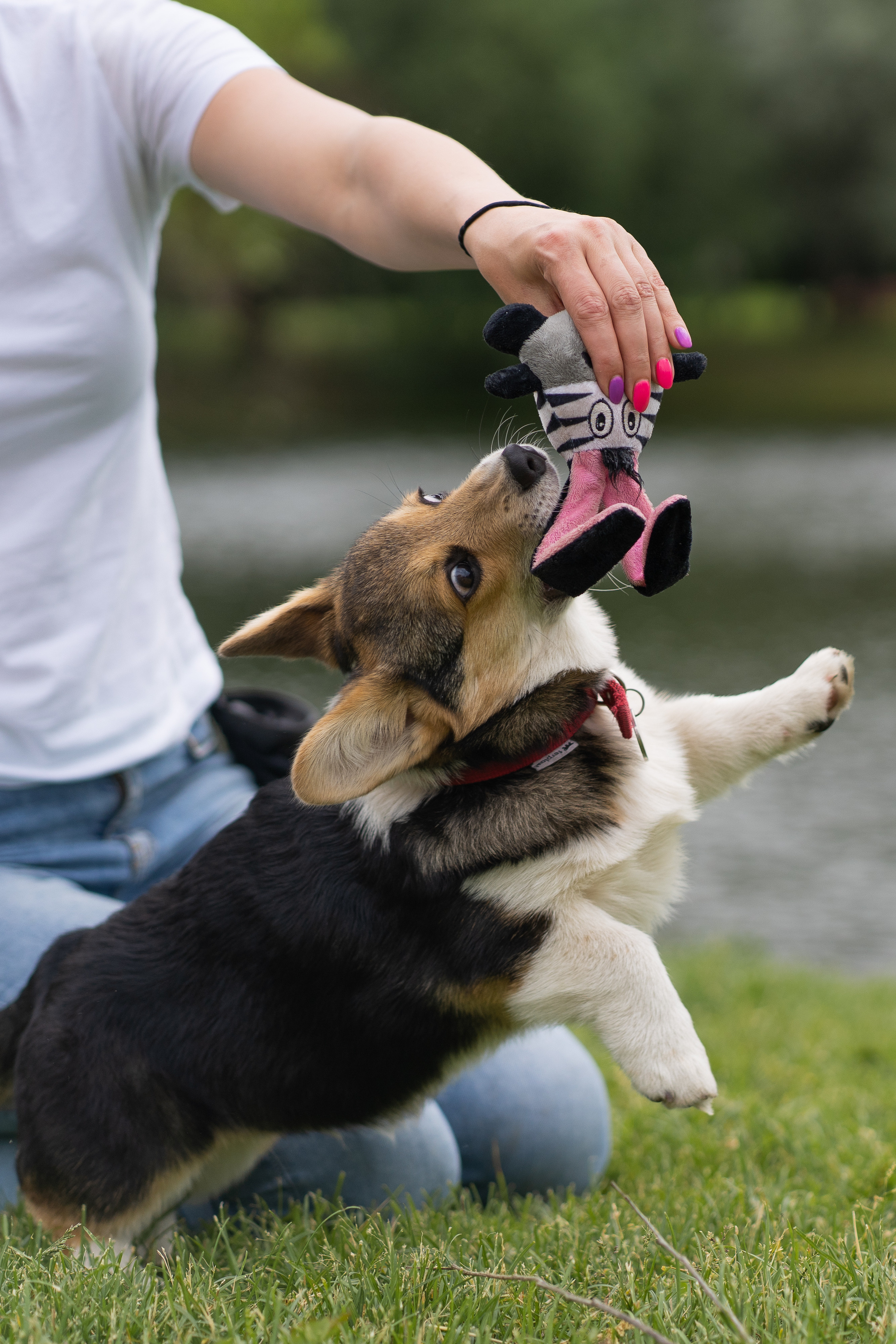 Каспер и Полина, Ботанический сад. Свадебный фотограф в Москве Анна Полушина