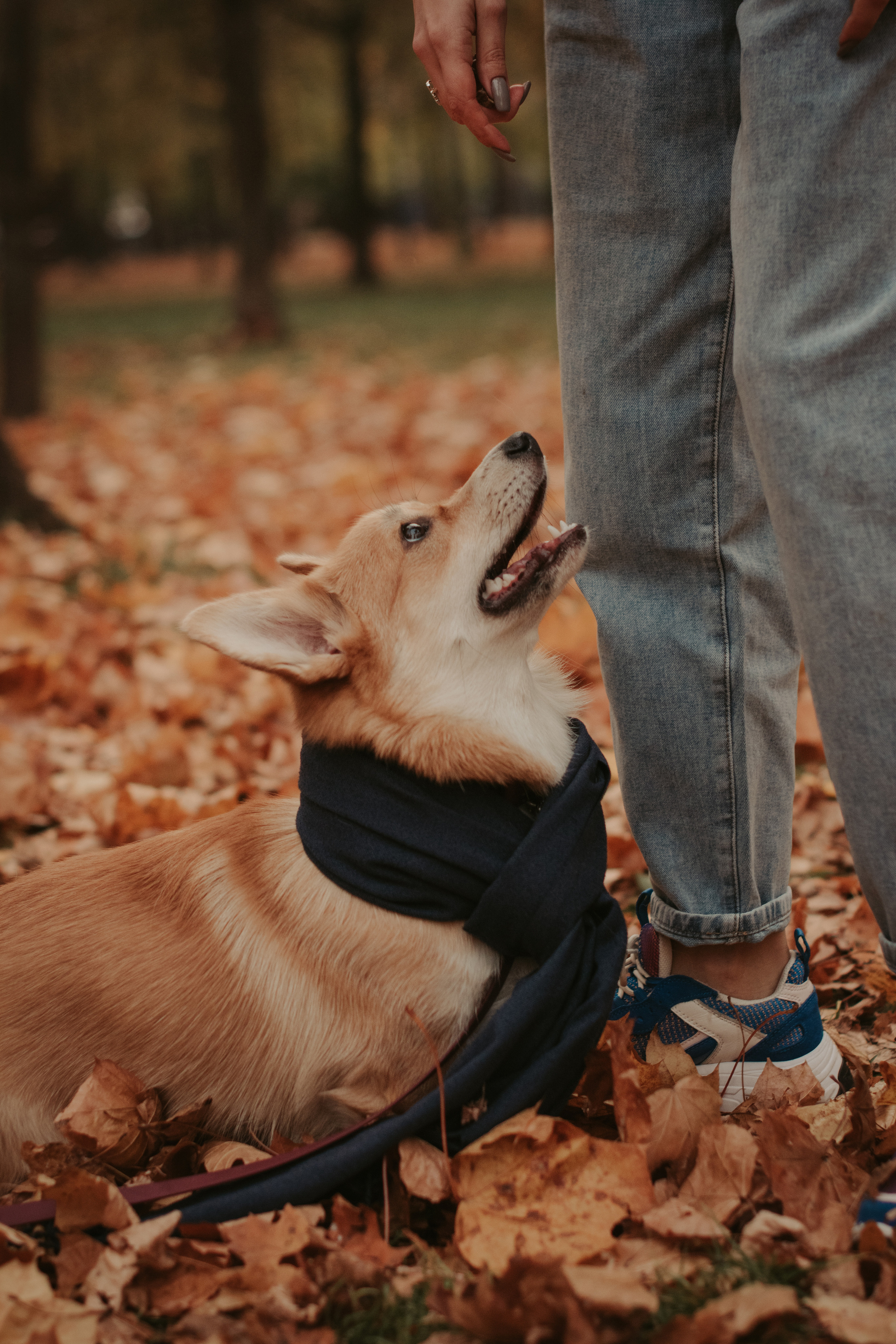 Марина и Мася, Новодевичий сквер. Свадебный фотограф в Москве Анна Полушина