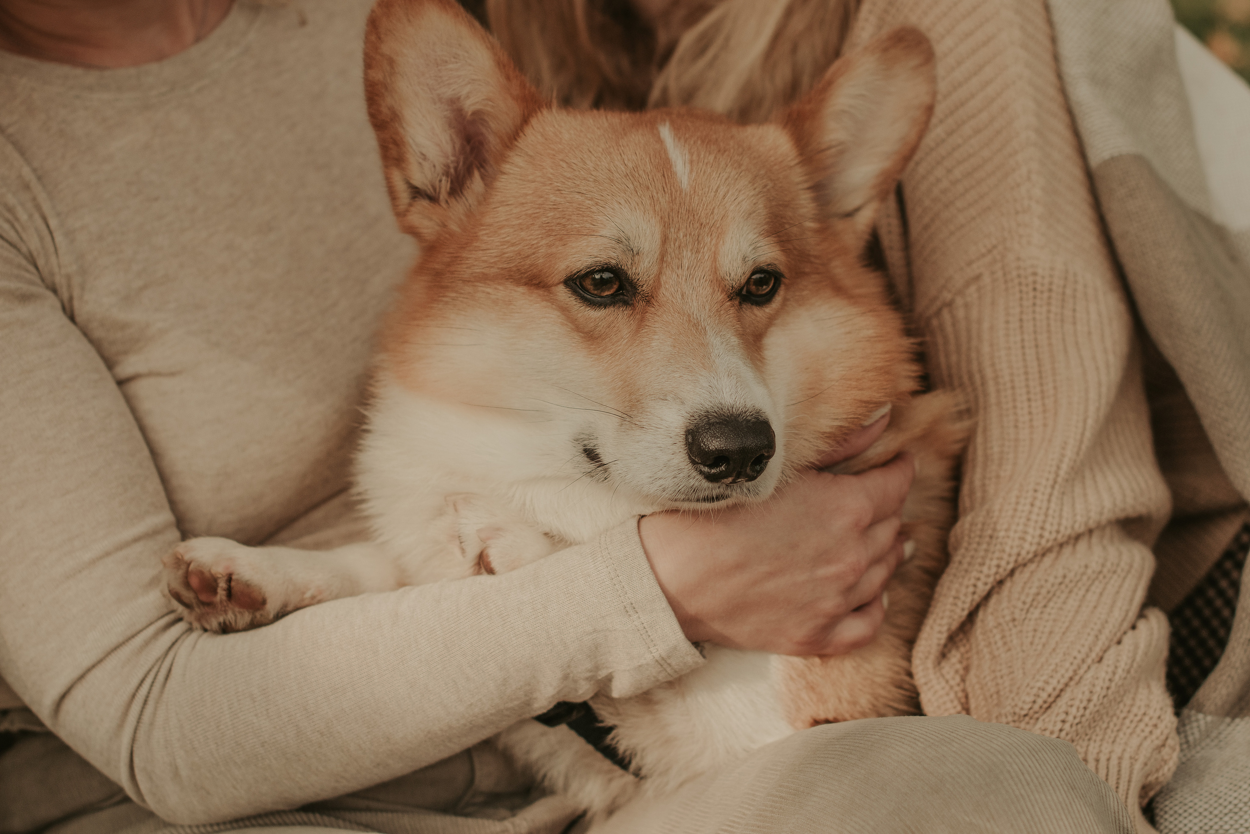 Наташа, Даша и Кевин. Свадебный фотограф в Москве Анна Полушина