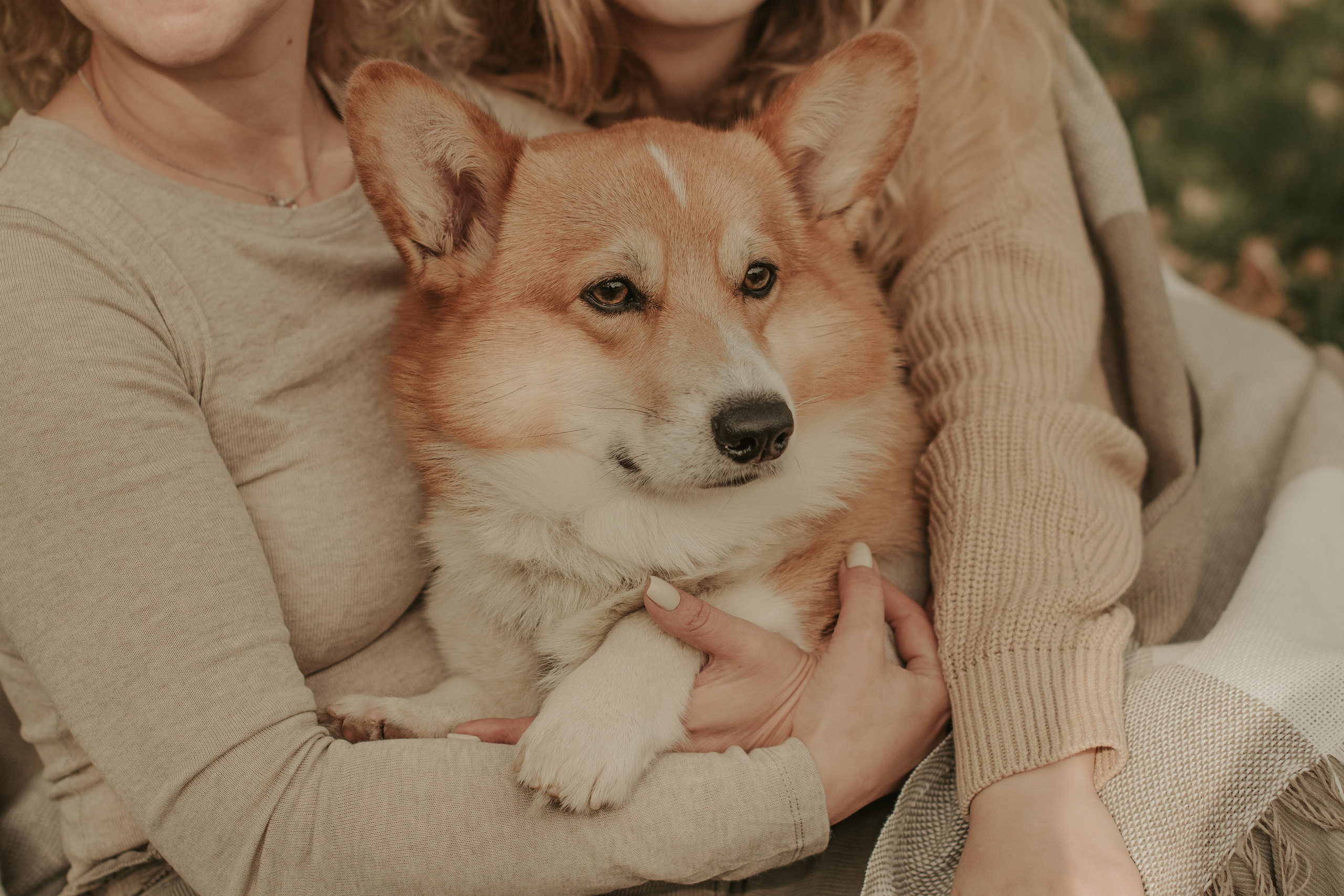 Наташа, Даша и Кевин. Свадебный фотограф в Москве Анна Полушина