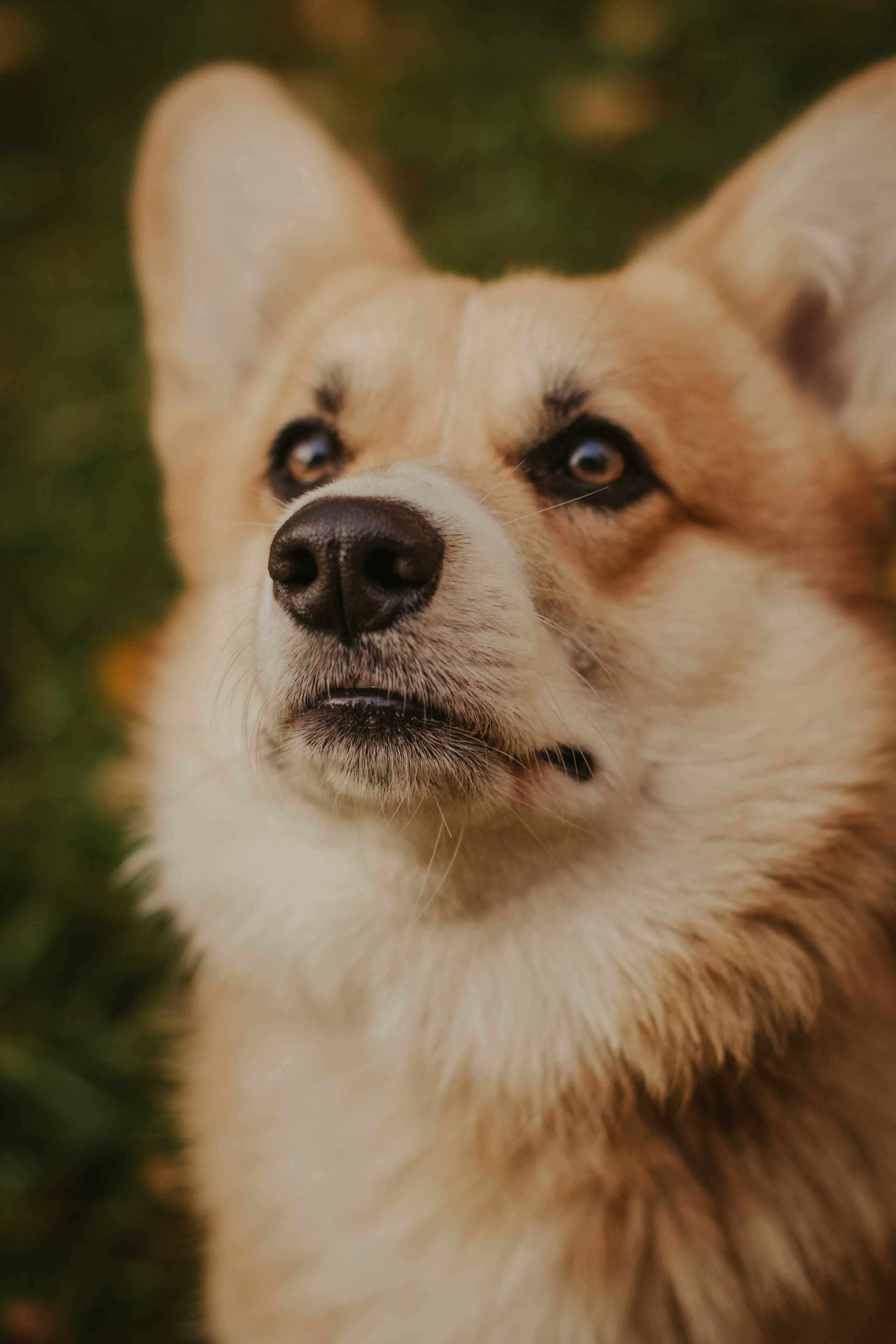 Катя и Оливер, Сокольники. Свадебный фотограф в Москве Анна Полушина