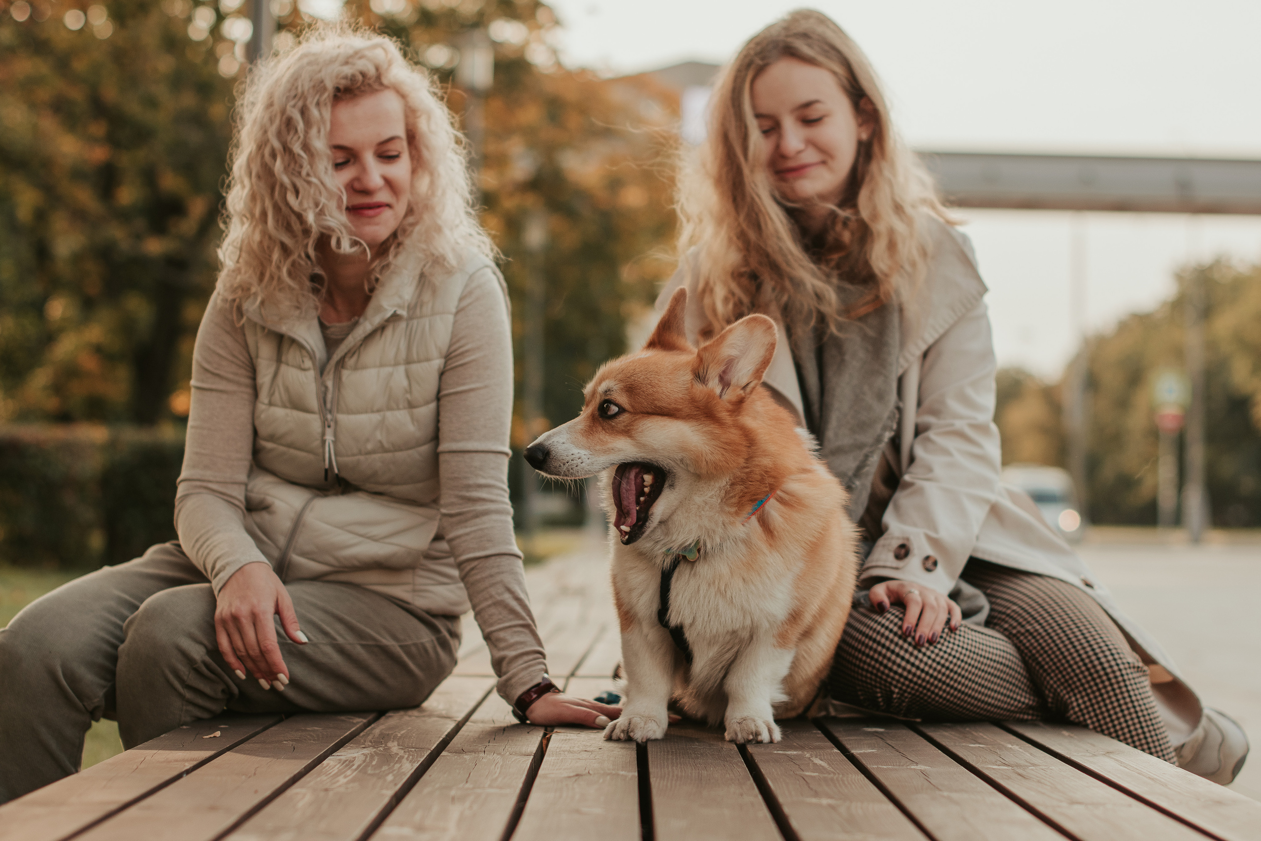 Наташа, Даша и Кевин. Свадебный фотограф в Москве Анна Полушина