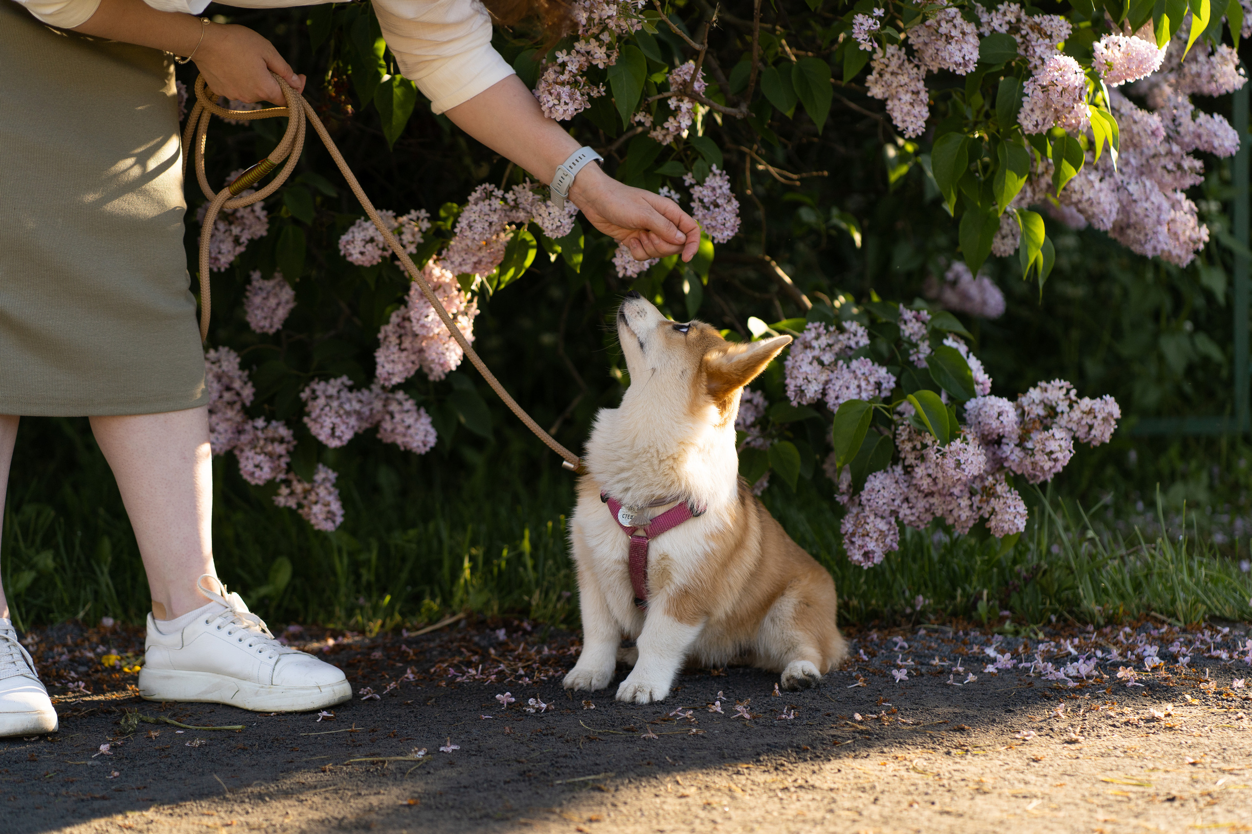 Полина и Стеша, Сиреневый сад. Свадебный фотограф в Москве Анна Полушина