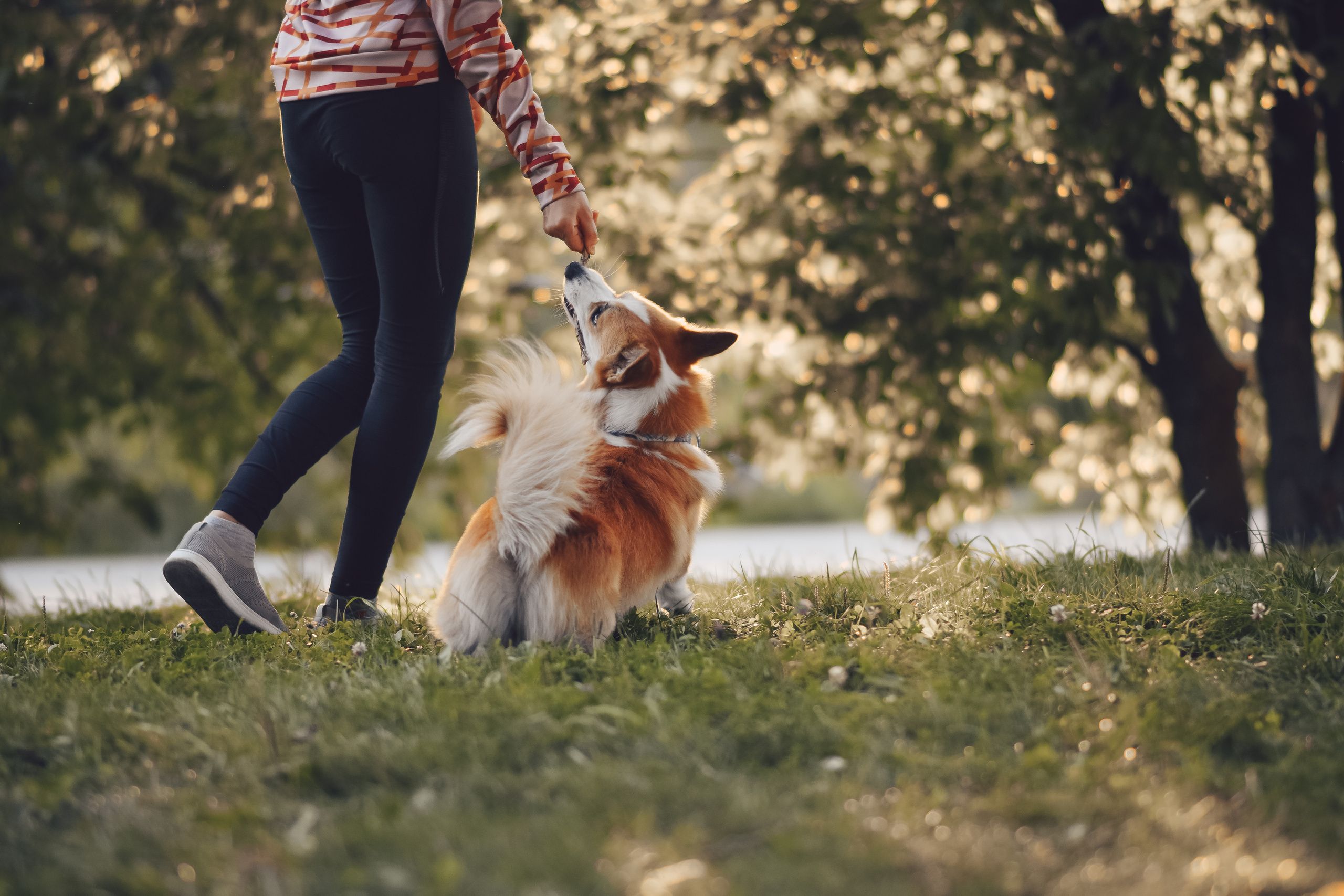 Алина и Ройс, парк на Яузе. Свадебный фотограф в Москве Анна Полушина