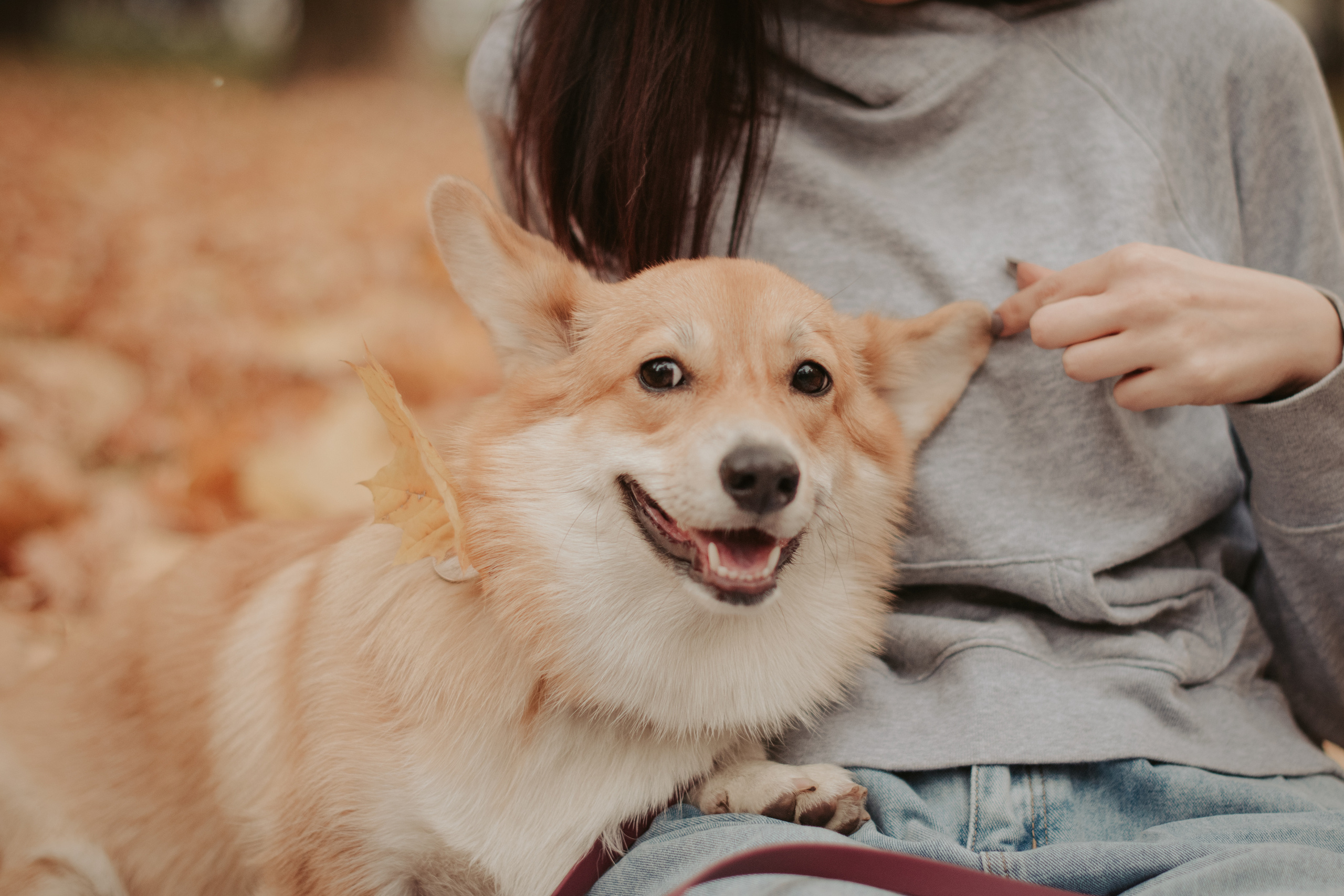 Марина и Мася, Новодевичий сквер. Свадебный фотограф в Москве Анна Полушина