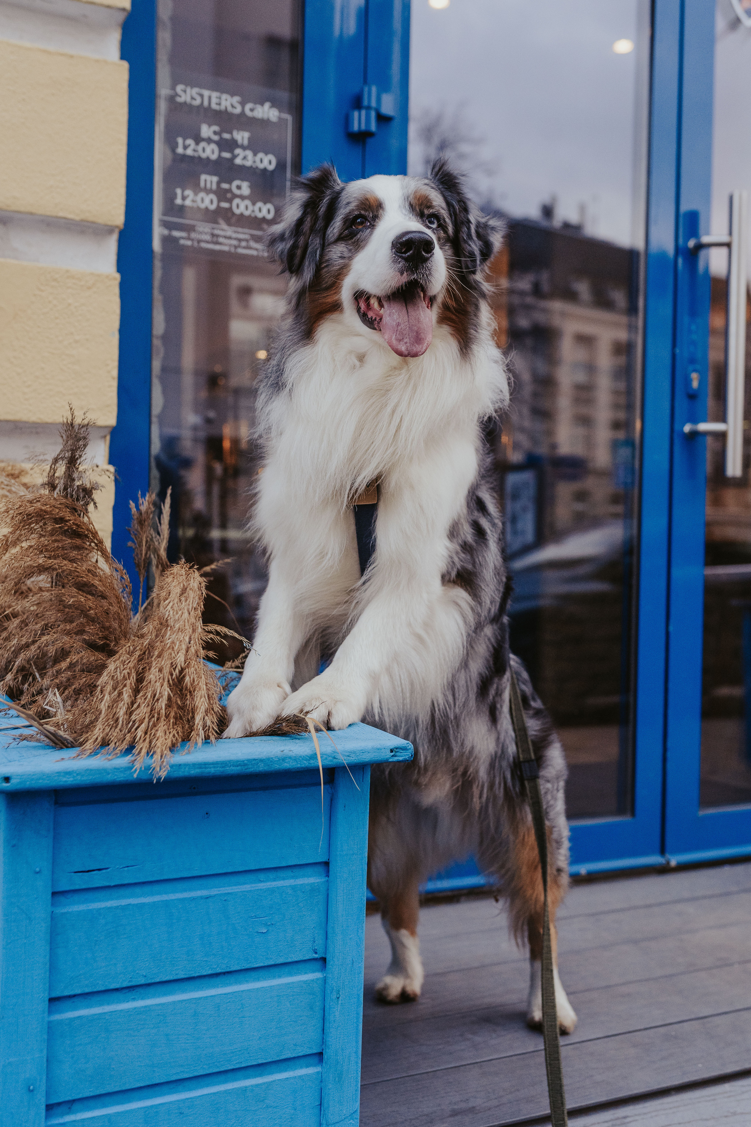 Лена и Принц, Китай- Город. Свадебный фотограф в Москве Анна Полушина