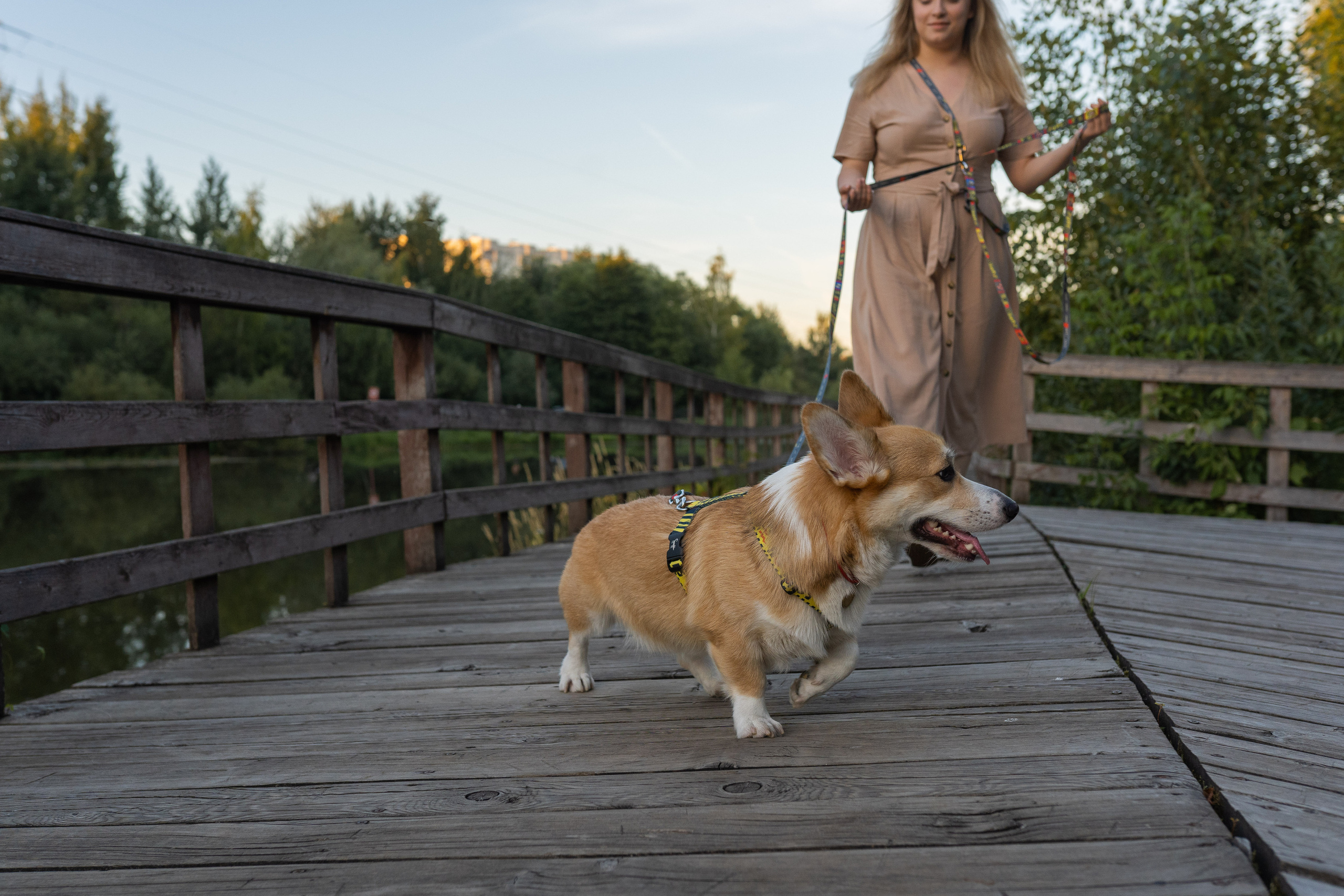 Катя и Боря, Джамгаровский парк. Свадебный фотограф в Москве Анна Полушина