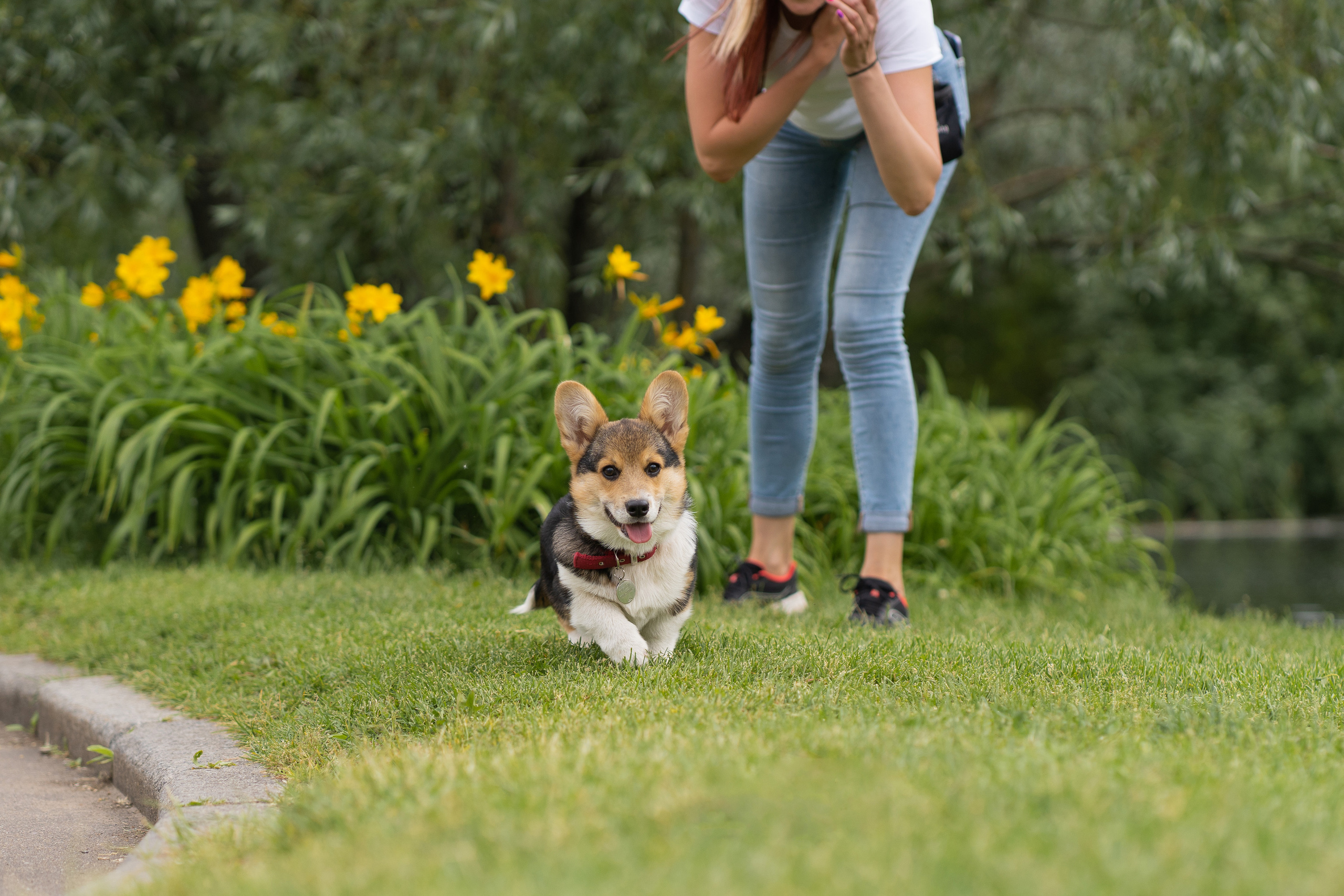 Каспер и Полина, Ботанический сад. Свадебный фотограф в Москве Анна Полушина