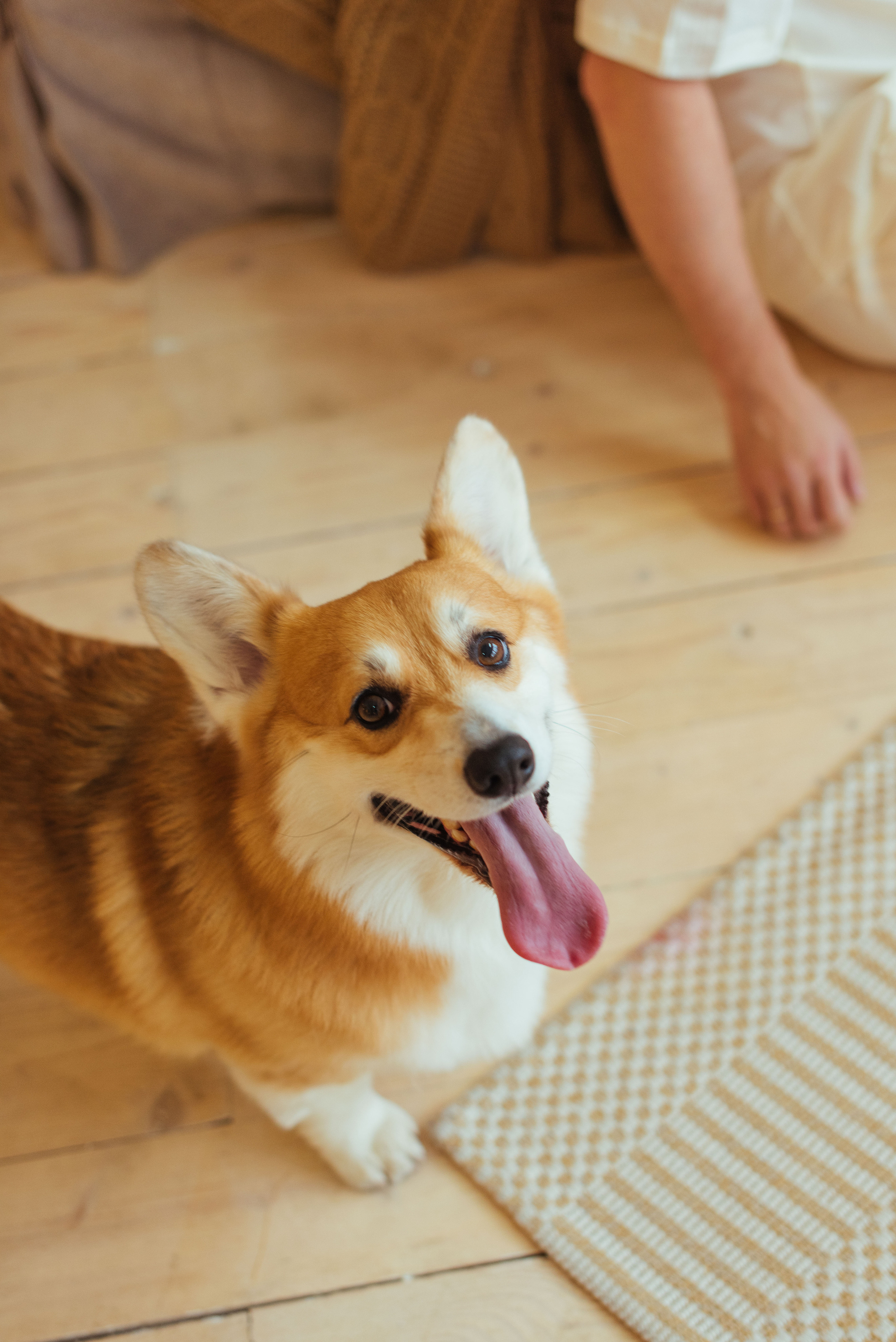 Юлия, Артем, Даня и коржик Дэни. Свадебный фотограф в Москве Анна Полушина